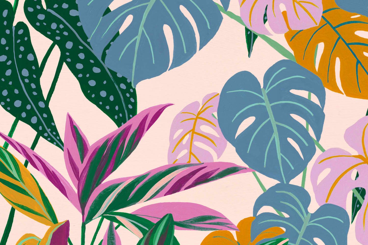 Tropische Blätter, Monstera, Bunt, Illustration, Muster, HD, Windows-Hintergrundbild