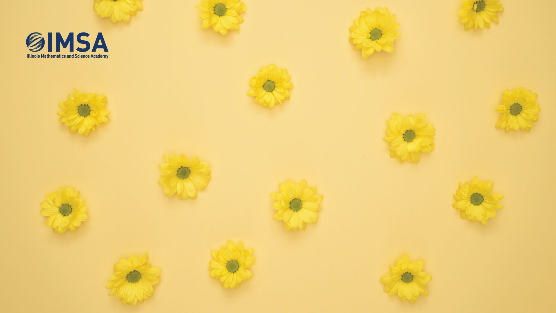 IMSA, Gelbe Blumen, Gelber Hintergrund, Logo, Blumenmuster, Full HD Wallpaper