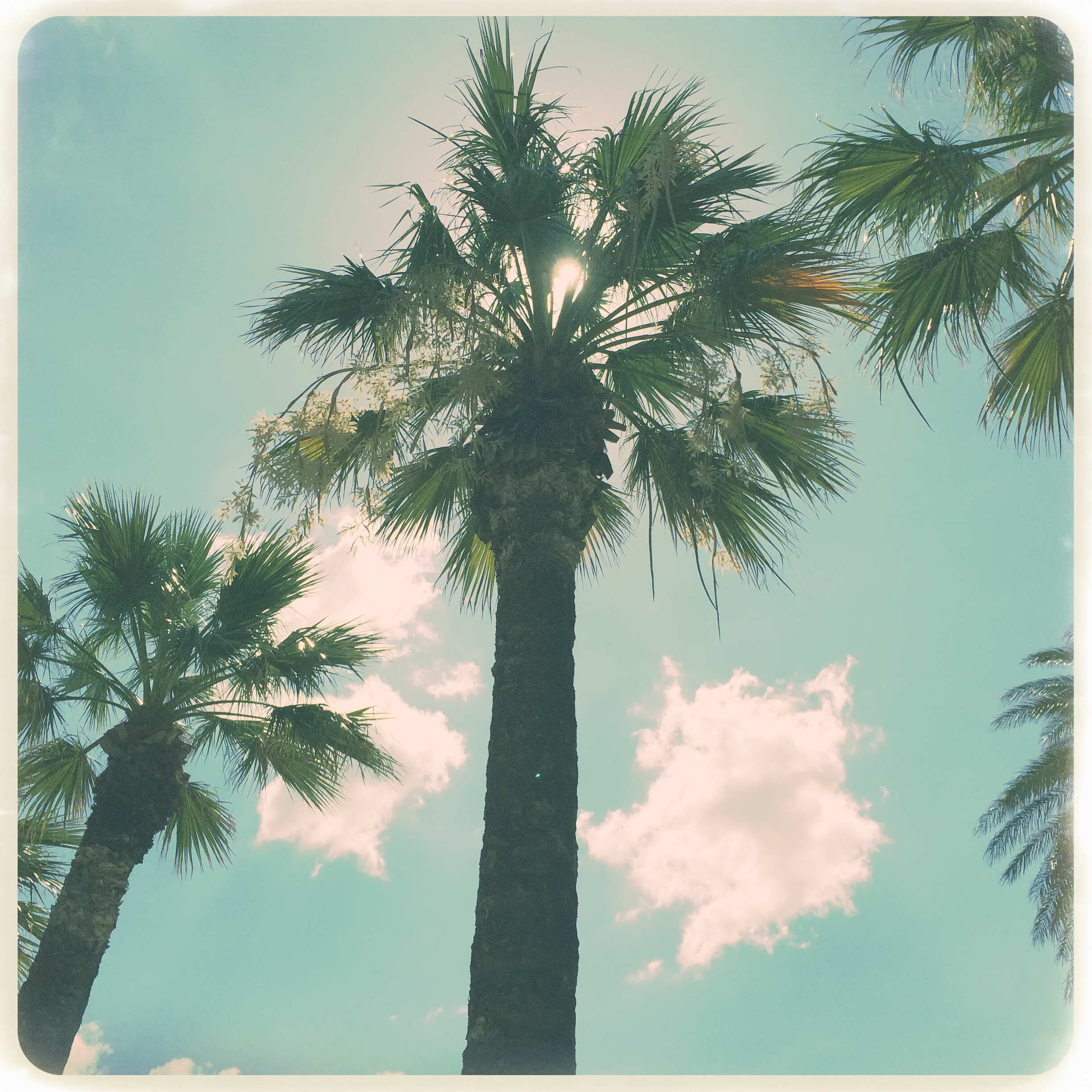 Palmen, Wolken, Vintage, Pastell, Full HD, Hintergrundbild fürs Tablet