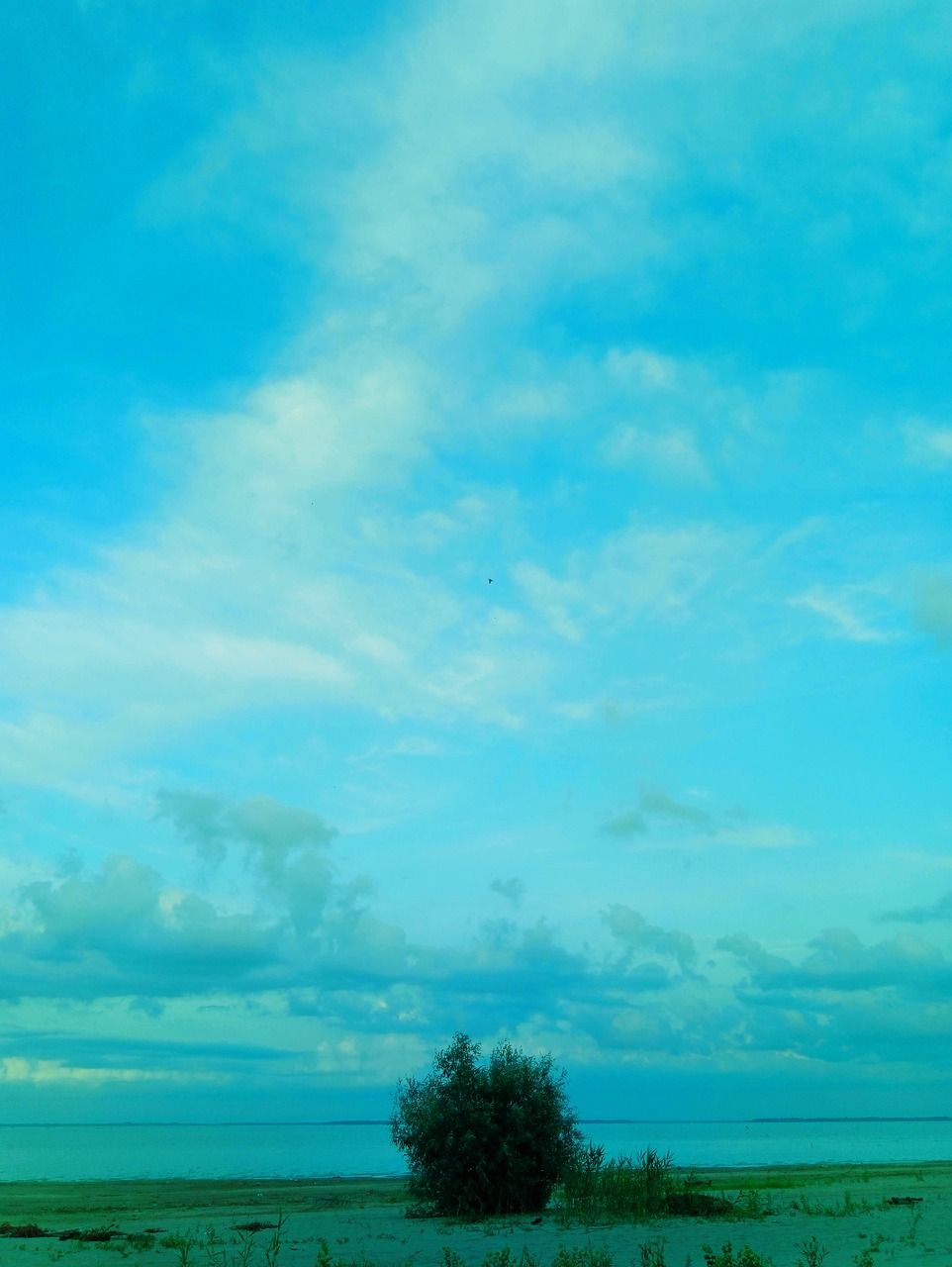Himmel, Wolken, Baum, Landschaft, Cyan, HD, iPad-Hintergrundbild