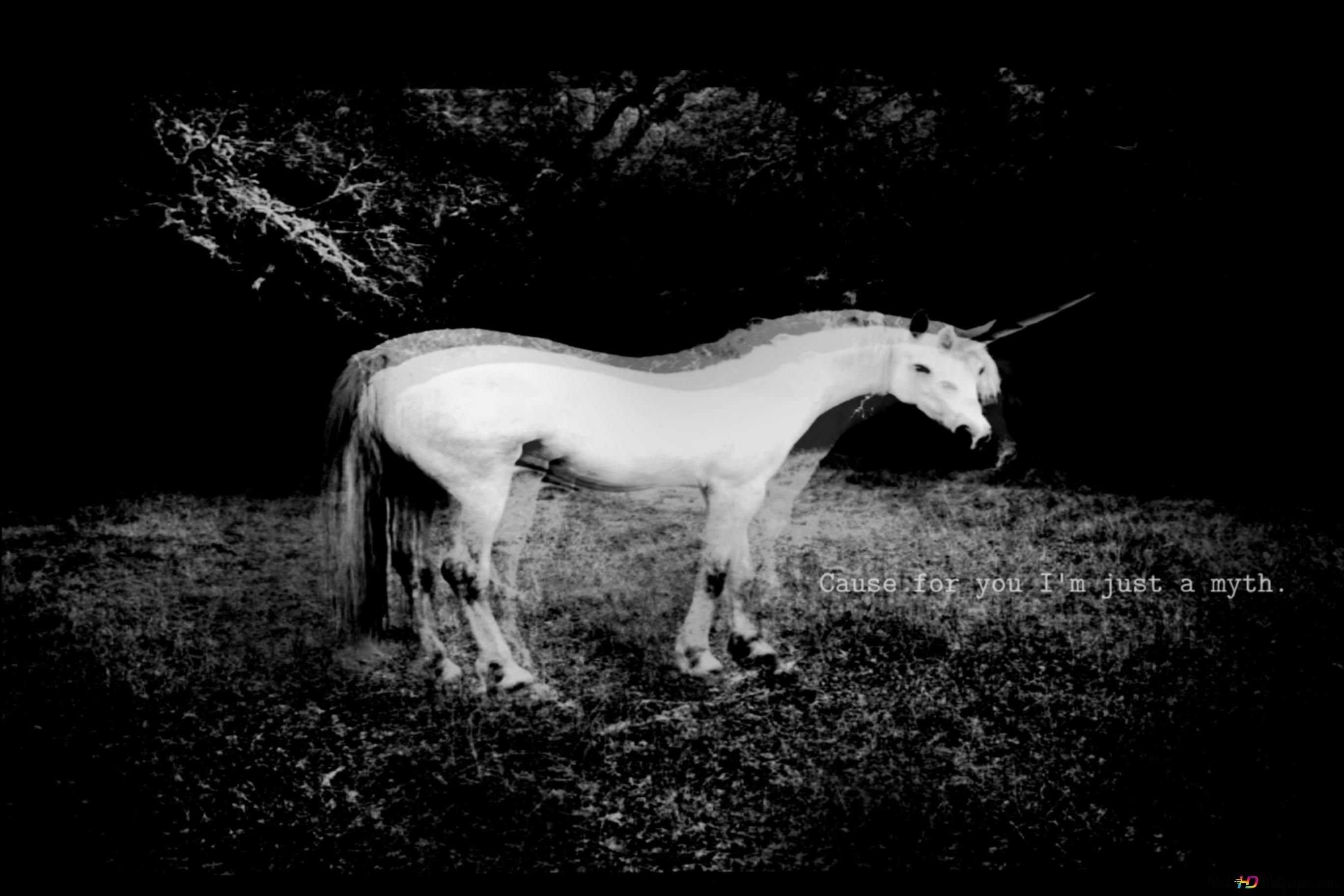 Weißes Einhorn, Schwarz-Weiß, Nacht, Fantasy, Dunkel, 2K, Desktop-Hintergrund für Windows