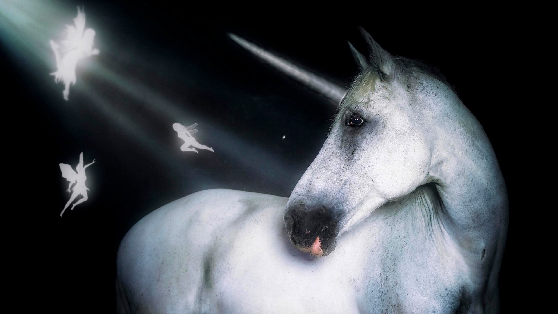 Weißes Einhorn, Feen, Lichtstrahlen, Schwarzer Hintergrund, Fantasy, Full HD Wallpaper