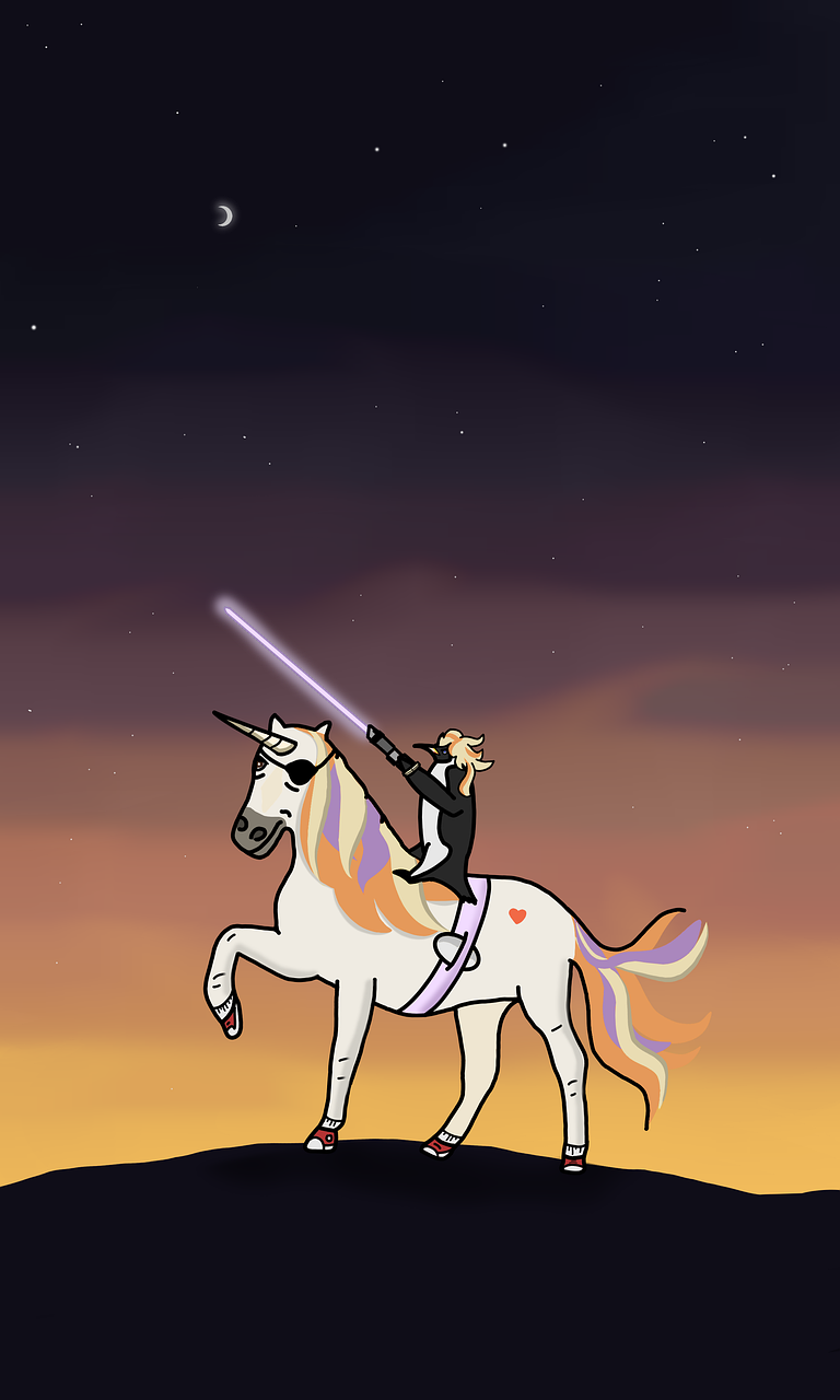 Einhorn, Reiter, Lichtschwert, Abendhimmel, Silhouette, HD, Hintergrundbild fürs Handy