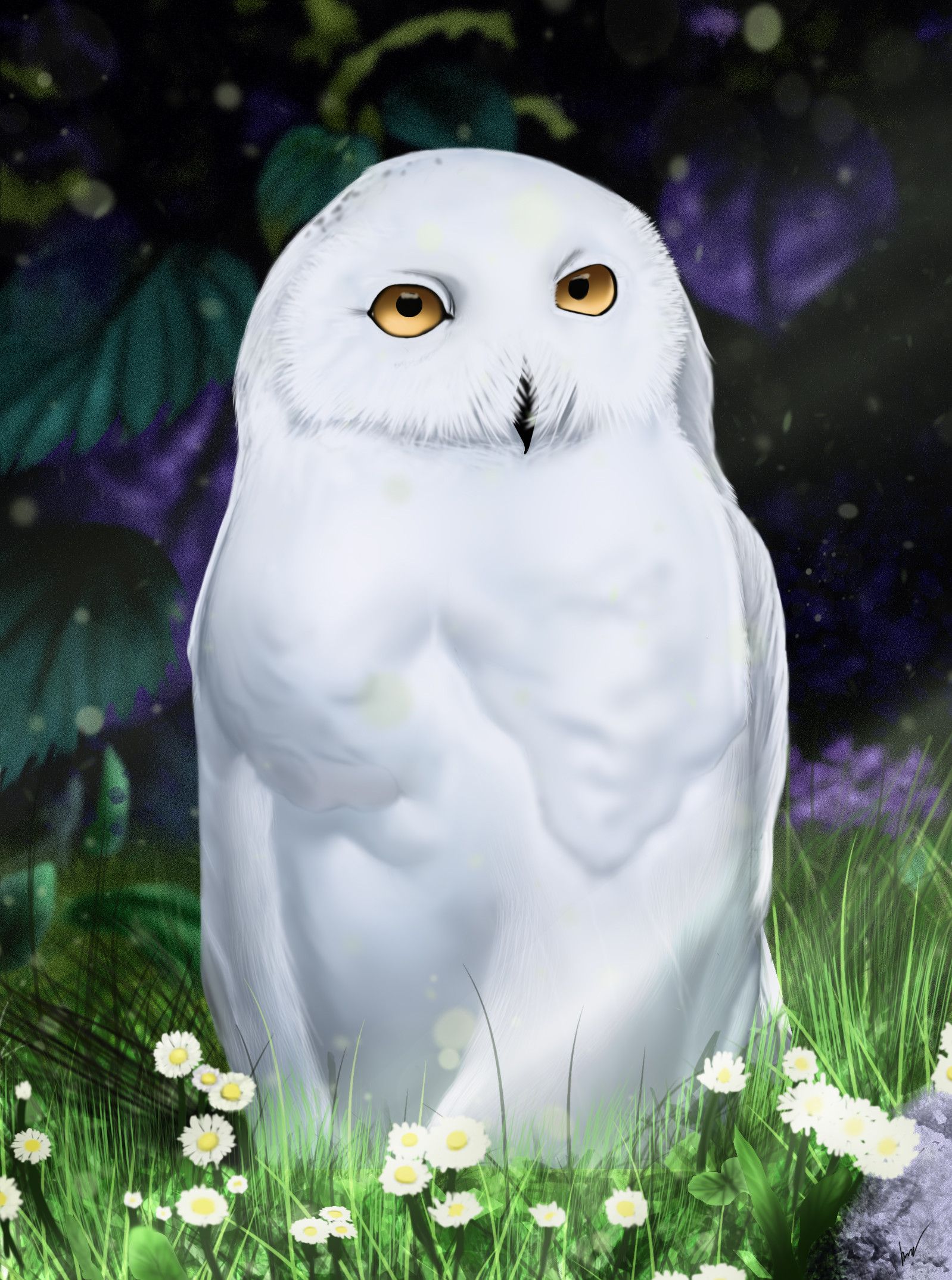 Schneeeule, Weiß, Blumenwiese, Fantasy, Nacht, Hintergrundbild für iPad und Tablet
