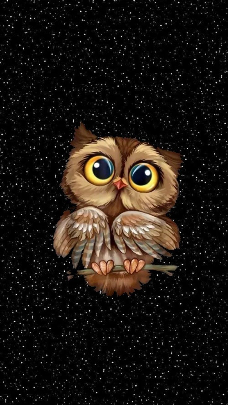 Eule, Cartoon, Große Augen, Sternenhimmel, Niedlich, HD, Handy-Hintergrund im Hochformat