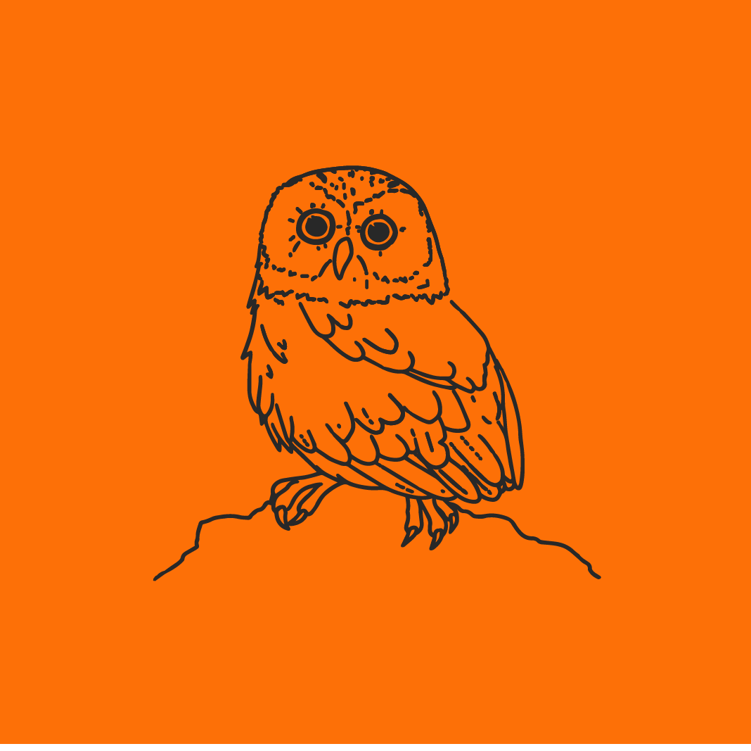 Eule, Linienzeichnung, Orange, Ast, Minimalismus, Hintergrundbild für iPad und Tablet