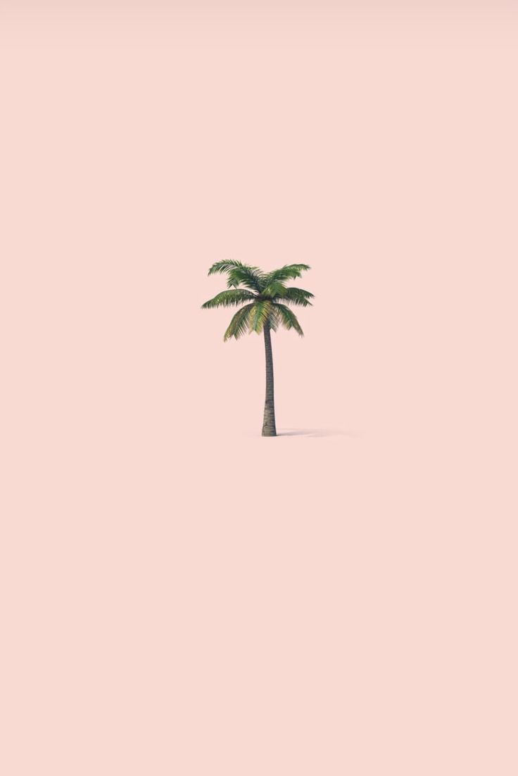 Palme, Icon, Minimalistisch, Pfirsichfarbener Hintergrund, HD Wallpaper