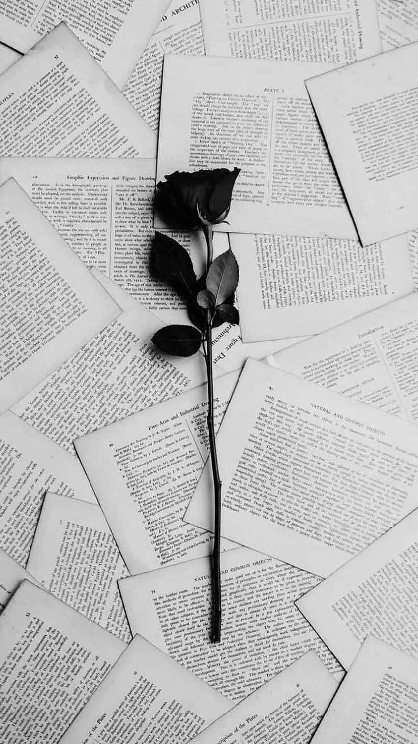 Rose, Buchseiten, Bücher, Monochrom, Romantik, HD, Hintergrundbild fürs Handy