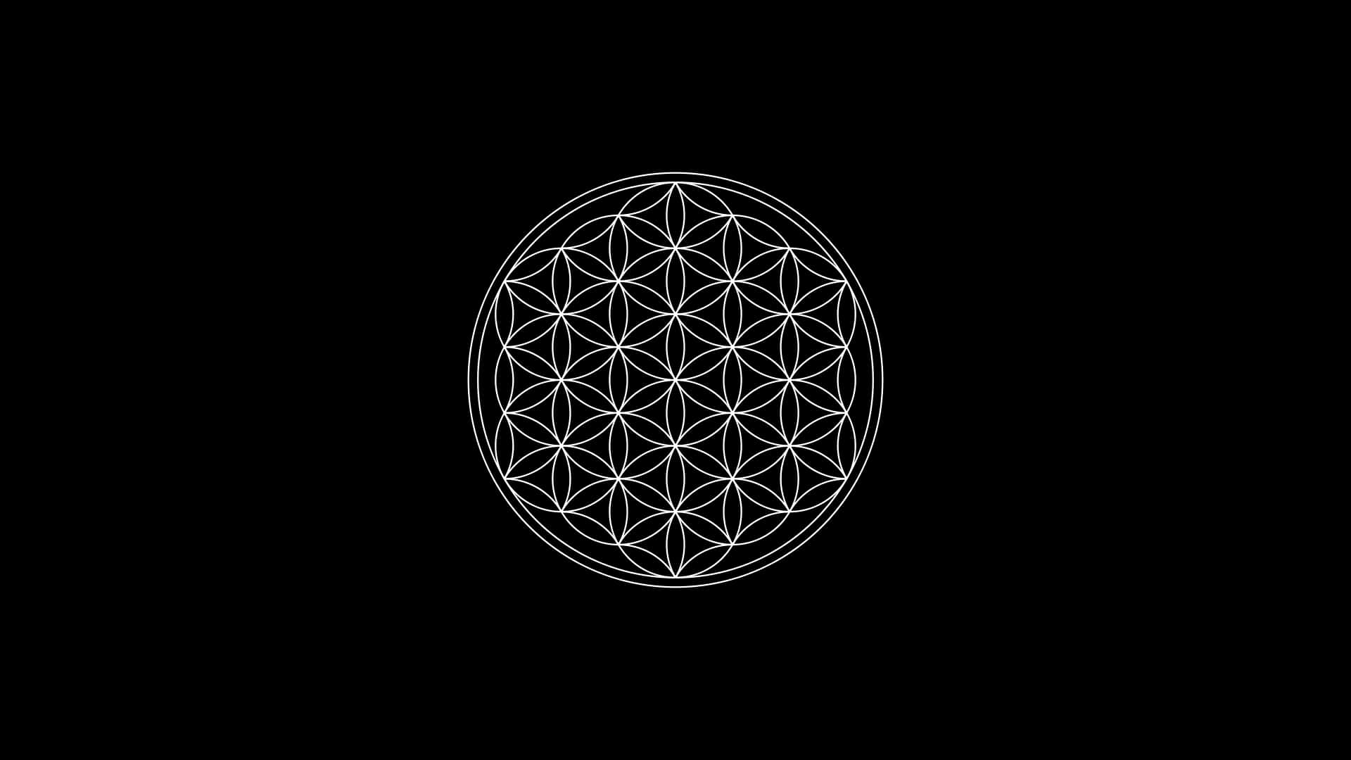 Blume des Lebens, Schwarzer Hintergrund, Weiße Linien, Minimalismus, Heilige Geometrie, 1080p Wallpaper