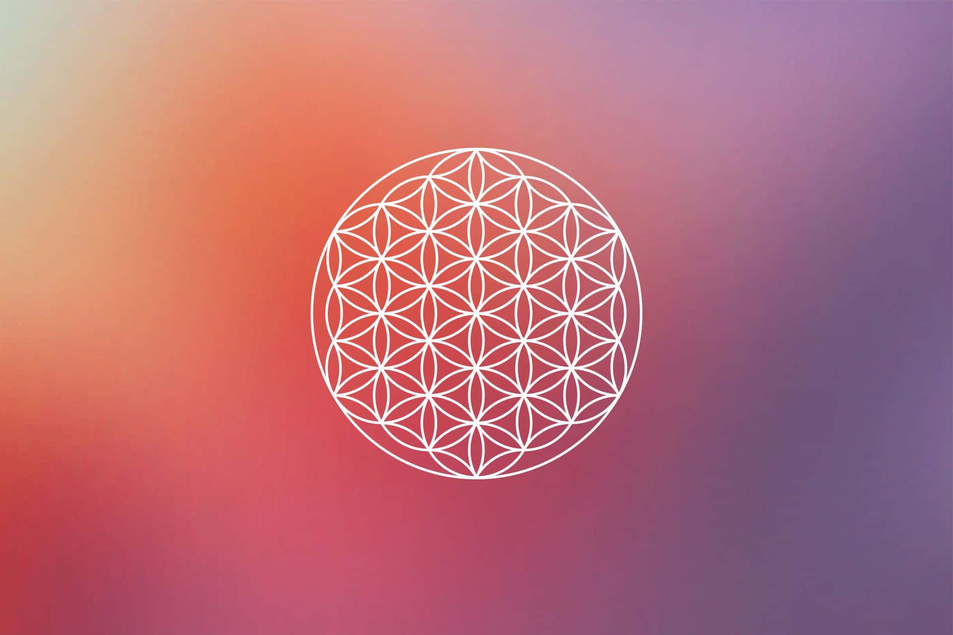 Blume des Lebens, Farbverlauf, Orange und Lila, Weiße Linien, Heilige Geometrie, Full-HD-Hintergrundbild