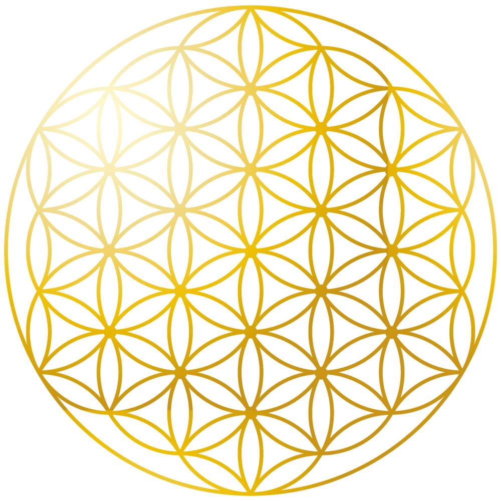 Blume des Lebens, Gold, Weißer Hintergrund, Heilige Geometrie, Ornament, Wallpaper