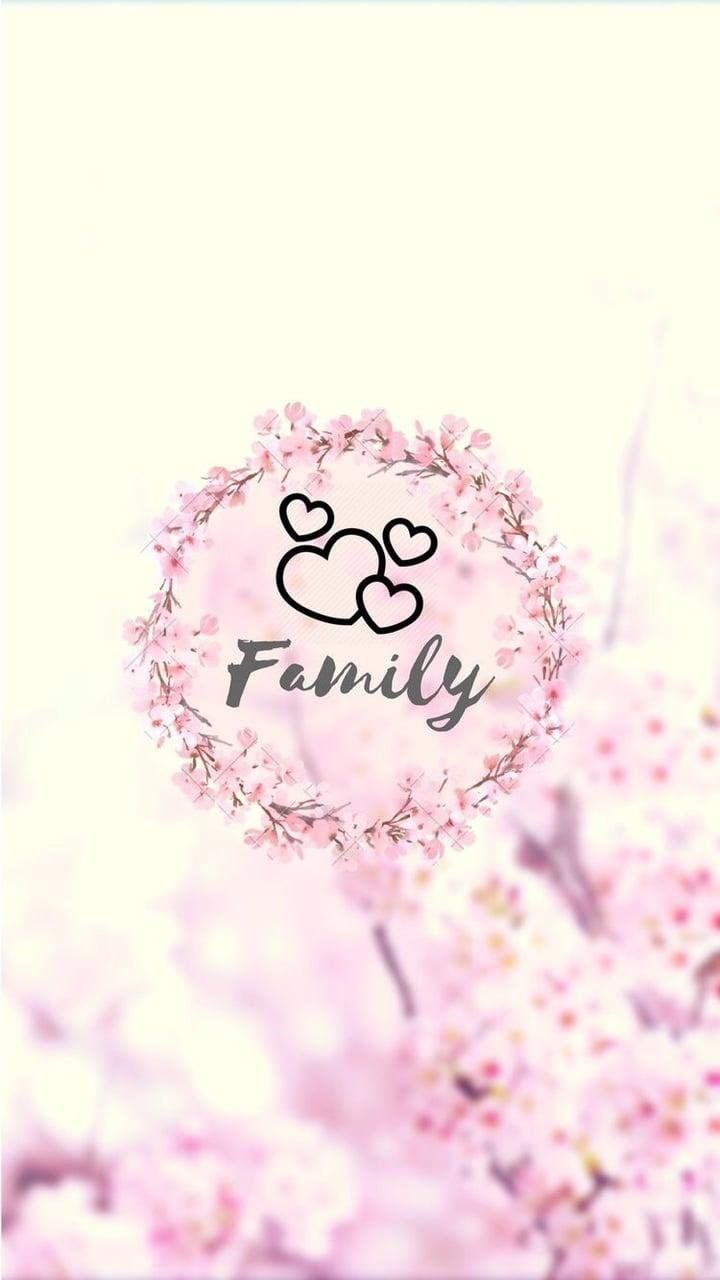 Family, Kirschblüten, Herzen, Kreis, Rosa, HD, Hintergrundbild fürs Handy