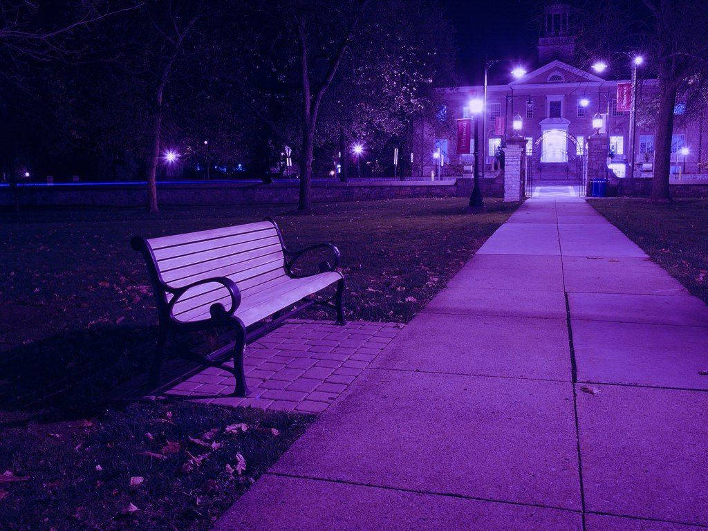 Park, Parkbank, Lila Licht, Nacht, Gehweg, Laternen, Hintergrundbild für iPad und Tablet