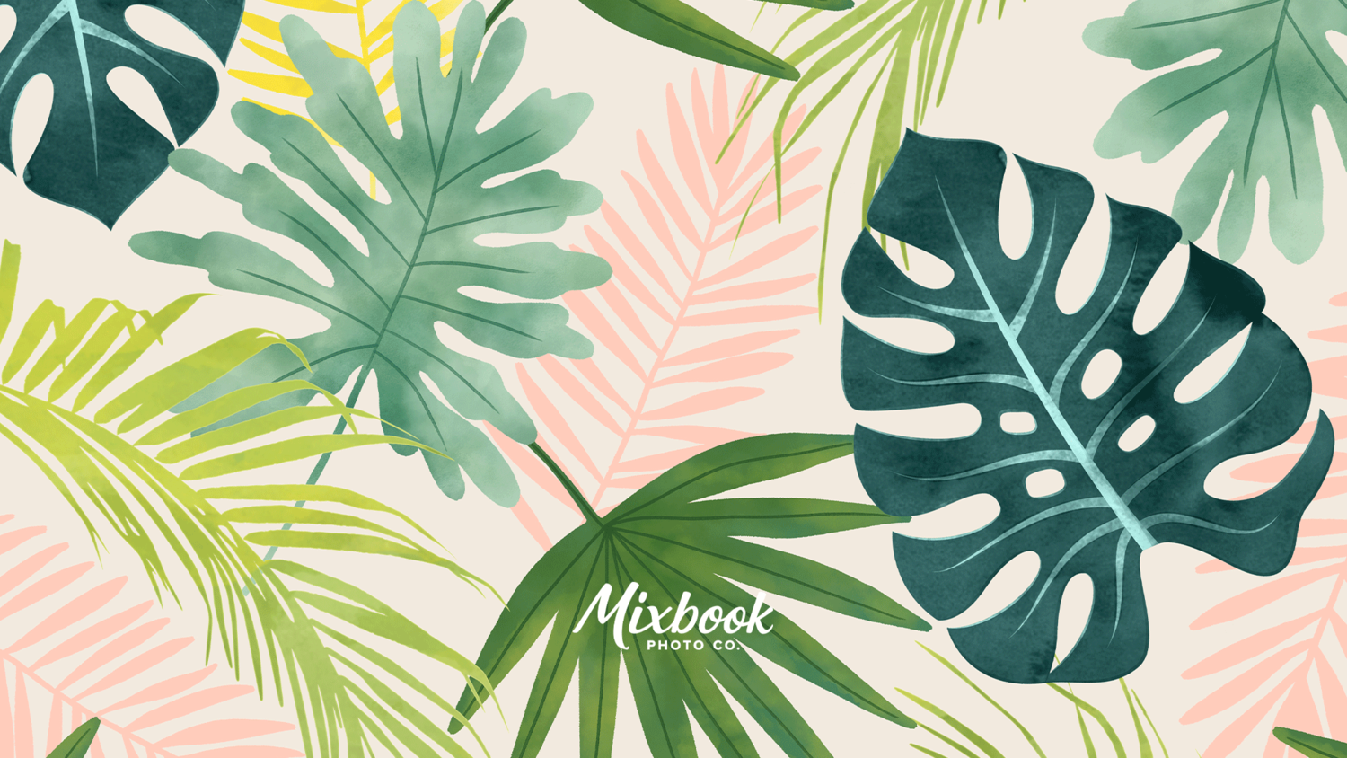 Mixbook, Monstera, Tropische Blätter, Grün, Illustration, HD, Windows-Hintergrundbild