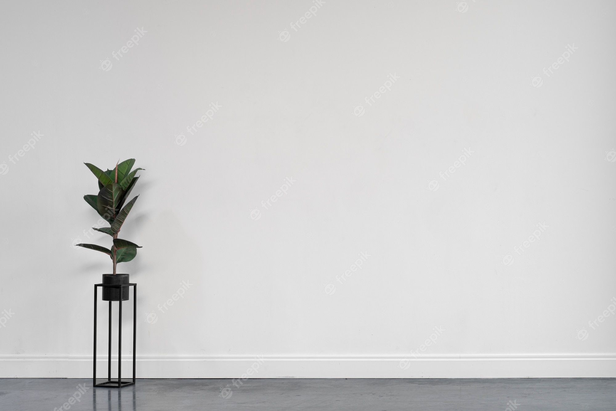 Zimmerpflanze, Graue Wand, Minimalistisch, Leerer Raum, Full HD, Desktop-Hintergrund für Windows