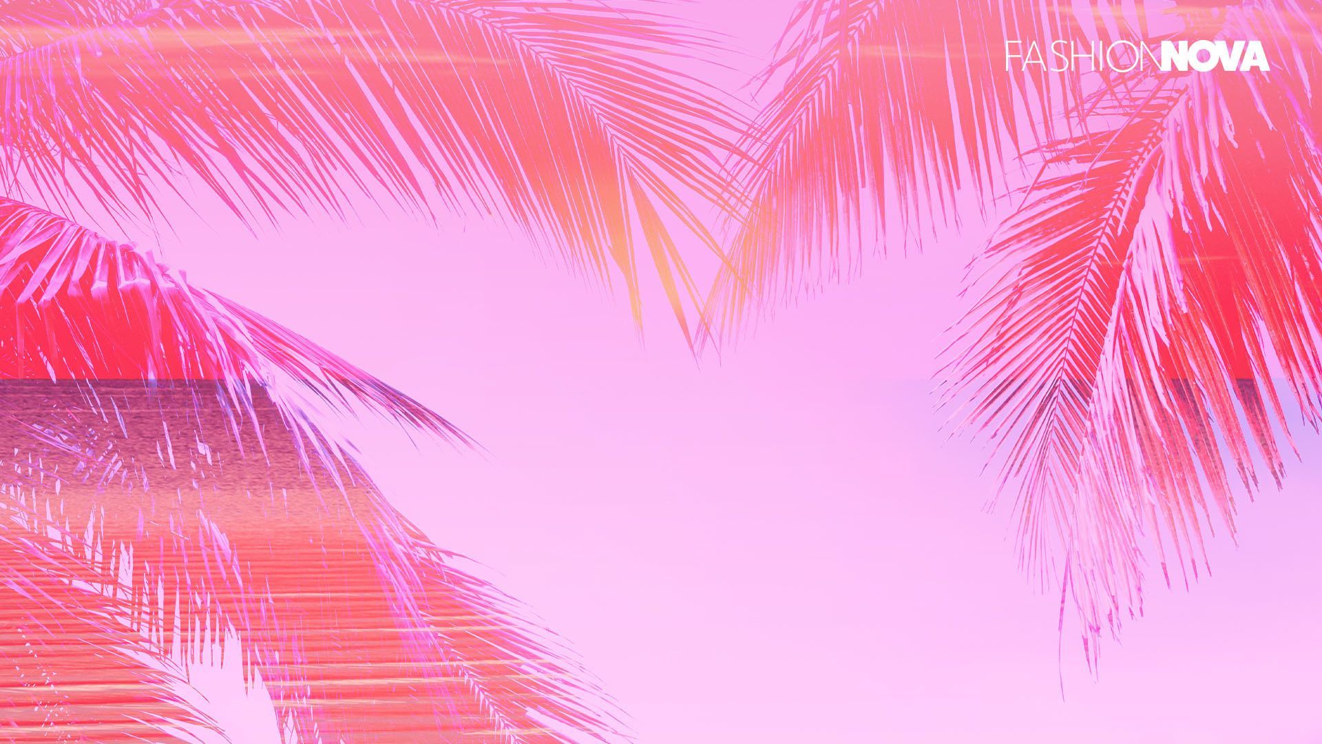 Fashion Nova, Palmen, Pink, Tropisch, Pastell, Full HD, Desktop-Hintergrund für Windows