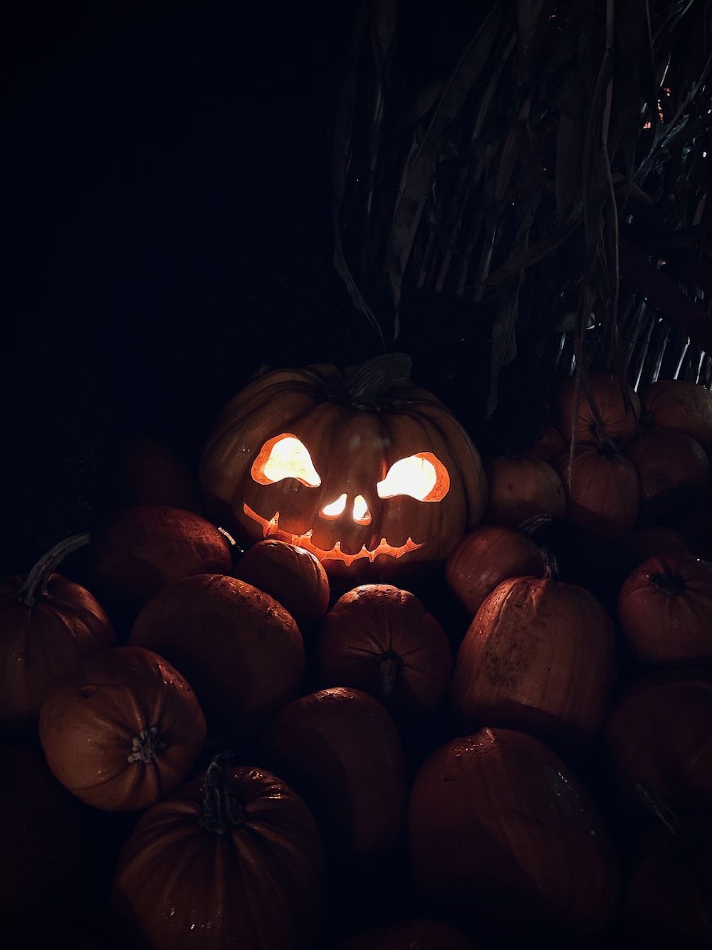 Kürbislaterne, Halloween, Kürbisse, Dunkel, Kerzenlicht, Hintergrundbild fürs iPad