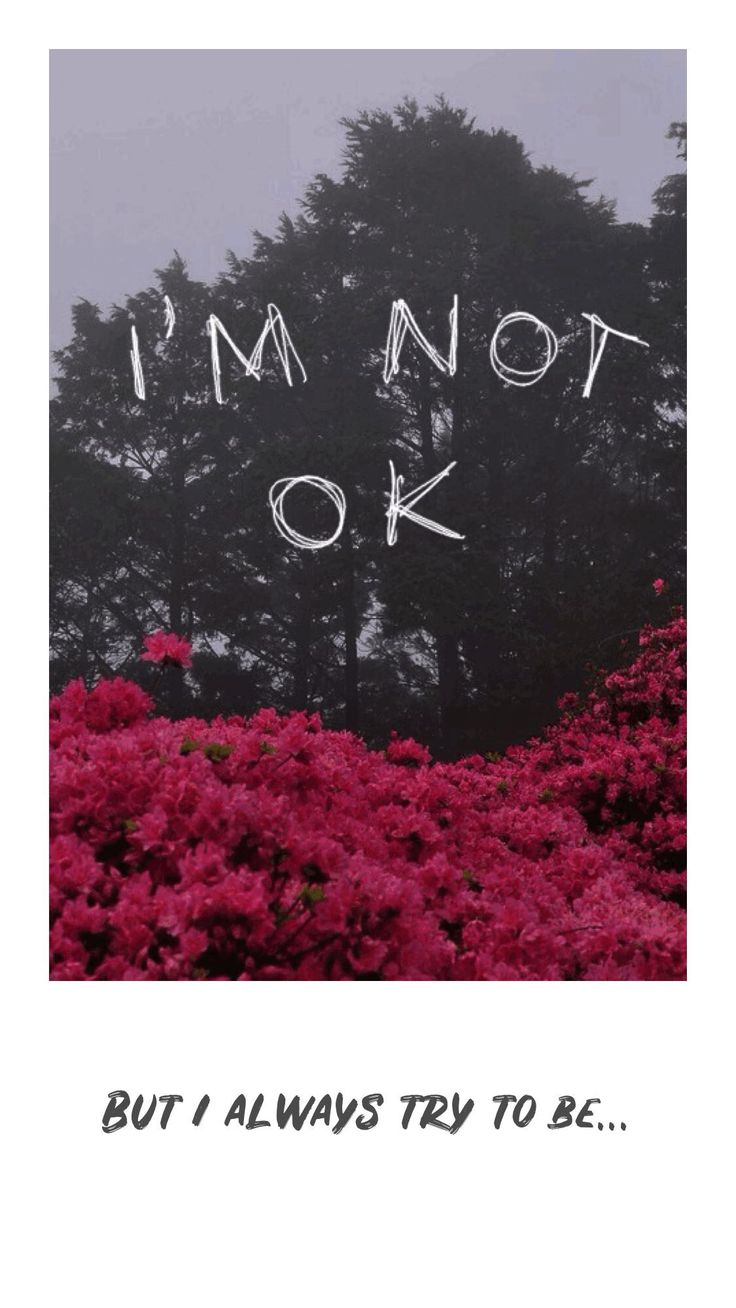 I'm Not OK, Zitat, Rote Blumen, Nebel, Melancholie, Hintergrundbild für iPhone und Android