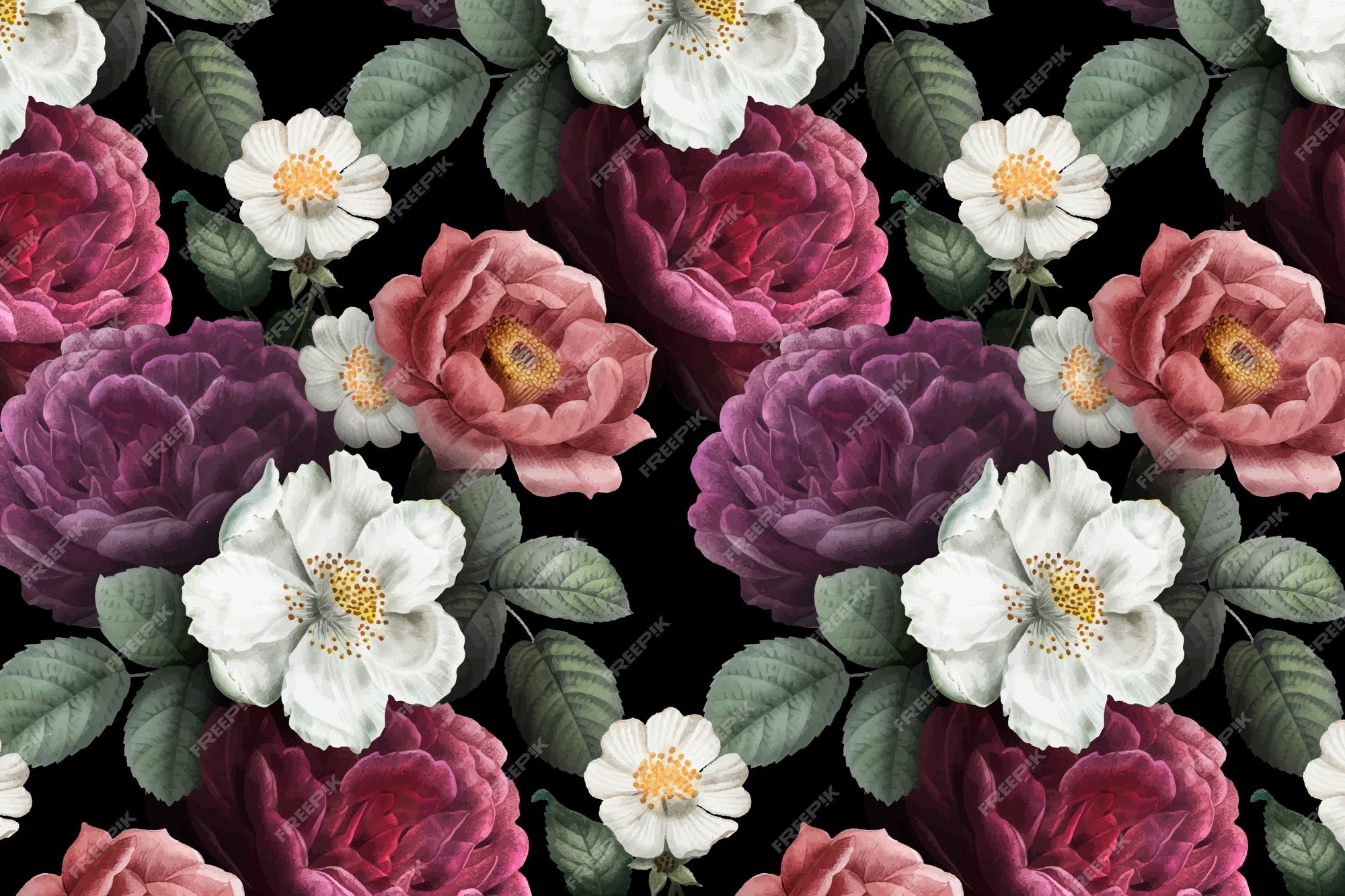Blumenmuster, Pfingstrosen, Weiße Blüten, Schwarzer Hintergrund, Illustration, Full HD Wallpaper