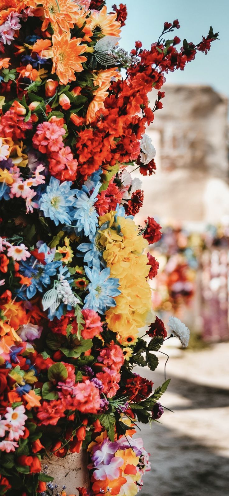 Blumenarrangement, Bunt, Straße, Fassade, Sommer, Hochformat, Hintergrundbild fürs Smartphone