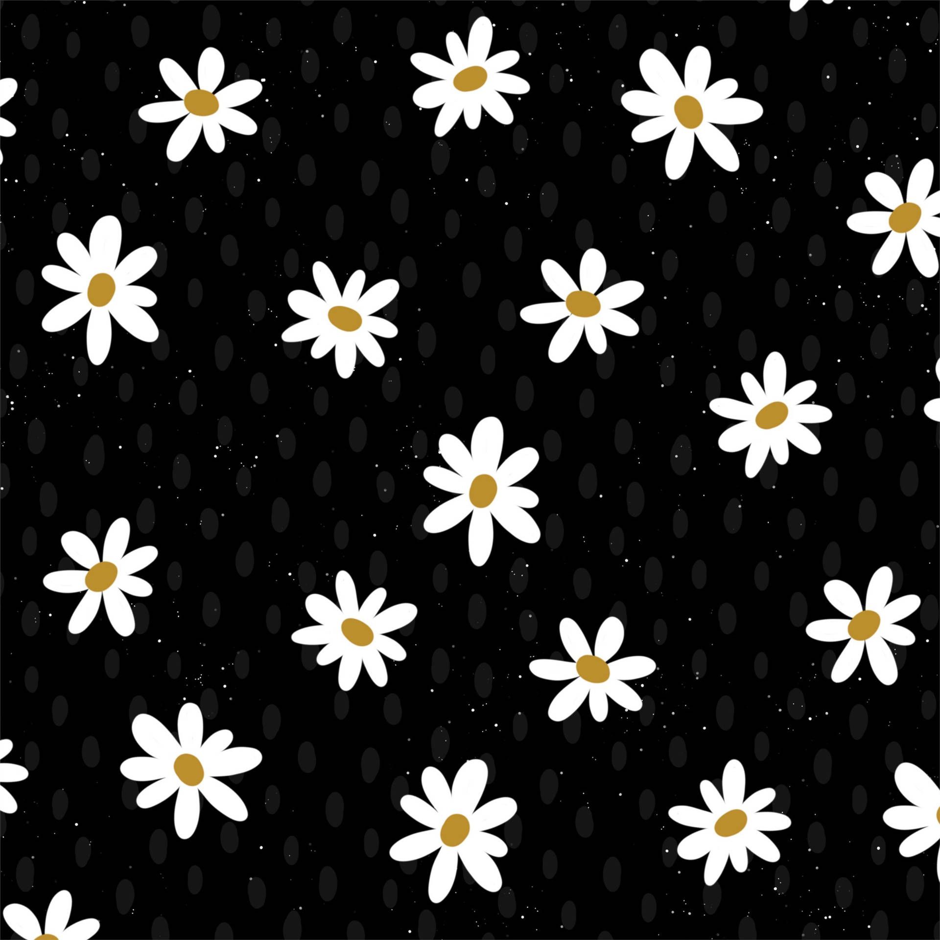 Gänseblümchen, Muster, Schwarzer Hintergrund, Weiß, Full HD Wallpaper
