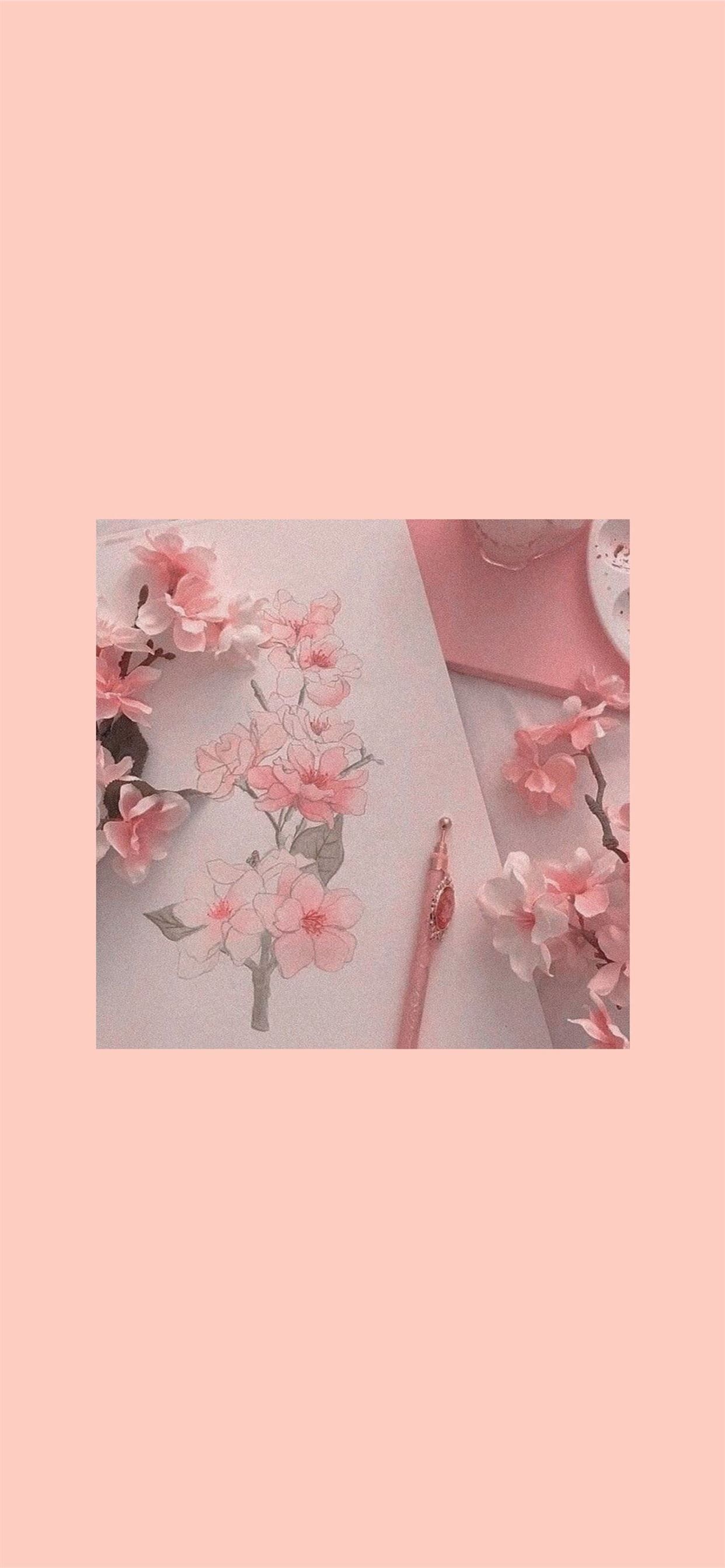 Kirschblüten, Rahmen, Pastellrosa, Minimalismus, Ästhetik, iPhone-17-Pro-Hintergrundbild
