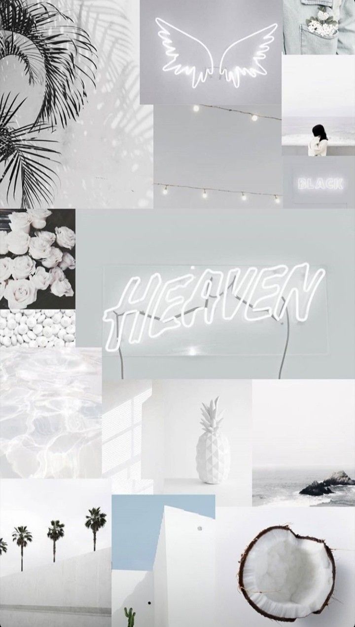 Collage, Weiße Ästhetik, Engelsflügel, Neonschrift, Kokosnuss, HD, Handy-Hintergrund