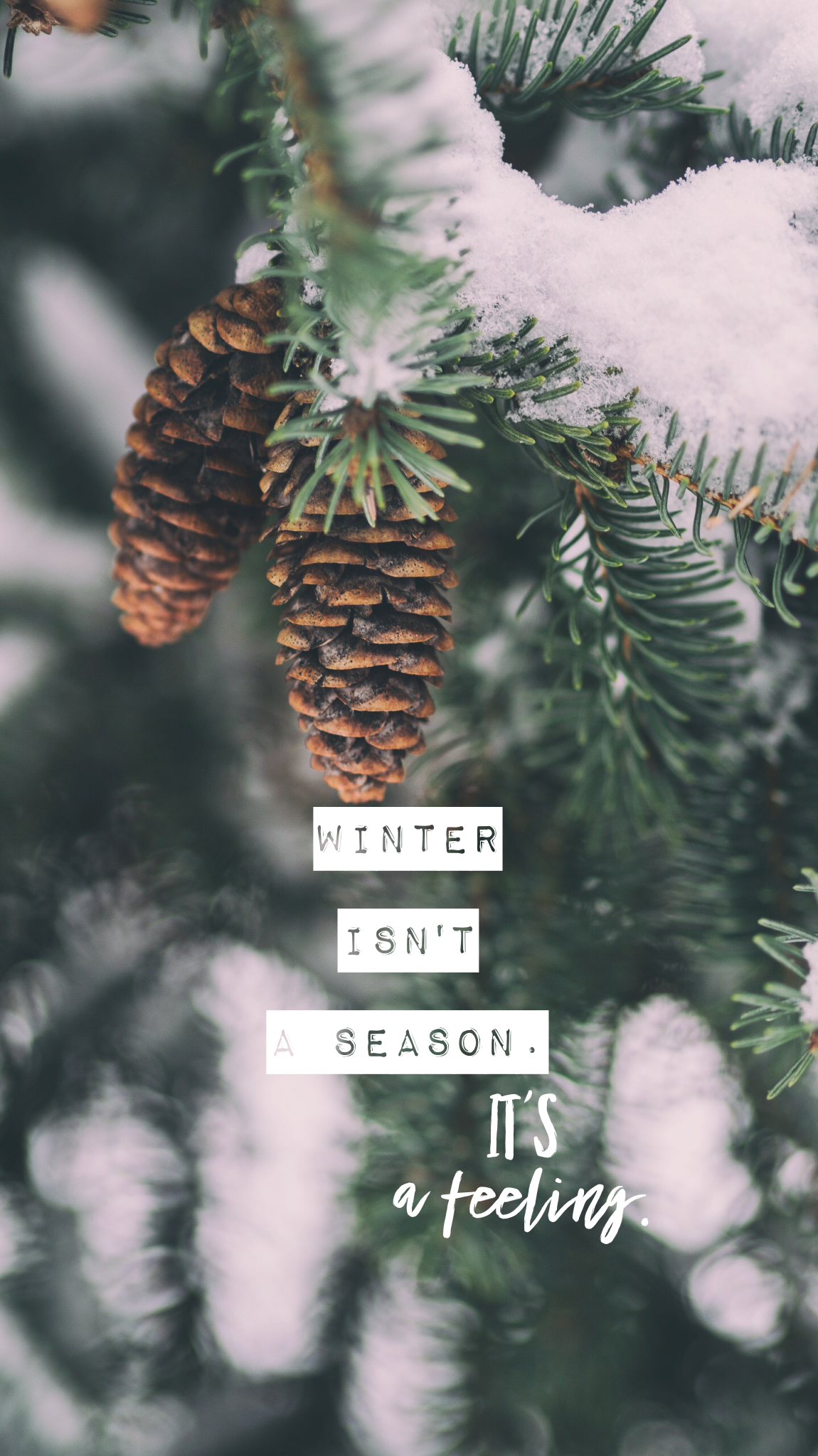 Winter Isn't a Season It's a Feeling, Tannenzapfen, Verschneite Zweige, Typografie, Smartphone-Hintergrund