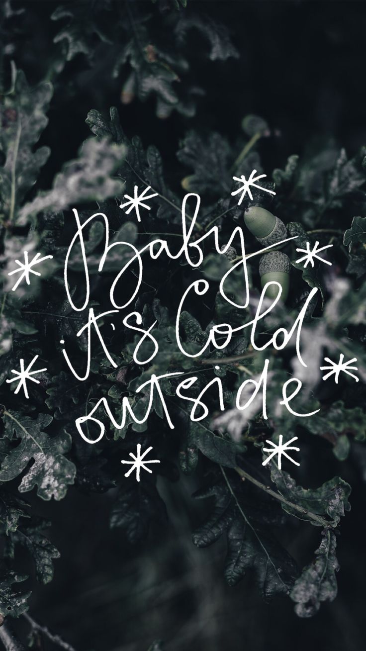 Baby It's Cold Outside, Handschrift, Tannenzweige, Schneeflocken, Dunkel, HD, Handy-Hintergrund