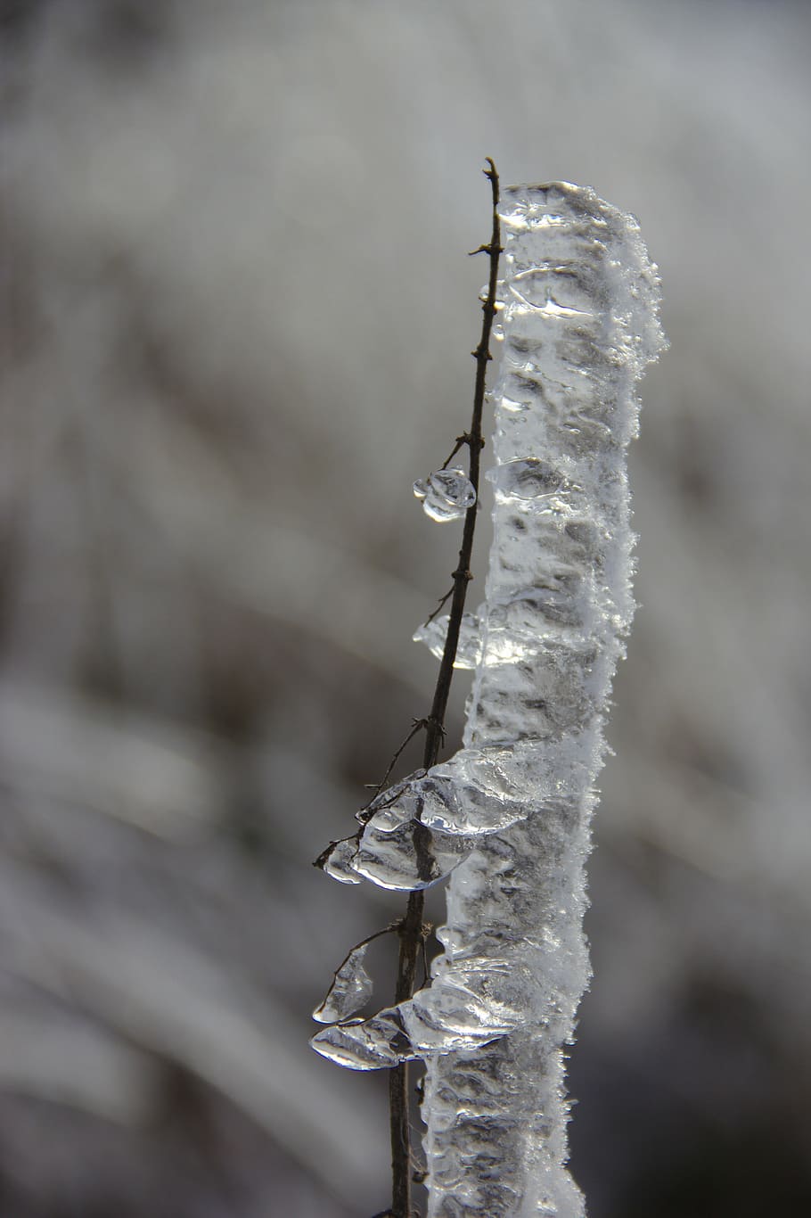 Eiszapfen, Gefrorener Halm, Frost, Grau, Makro, HD, Hintergrundbild fürs Handy