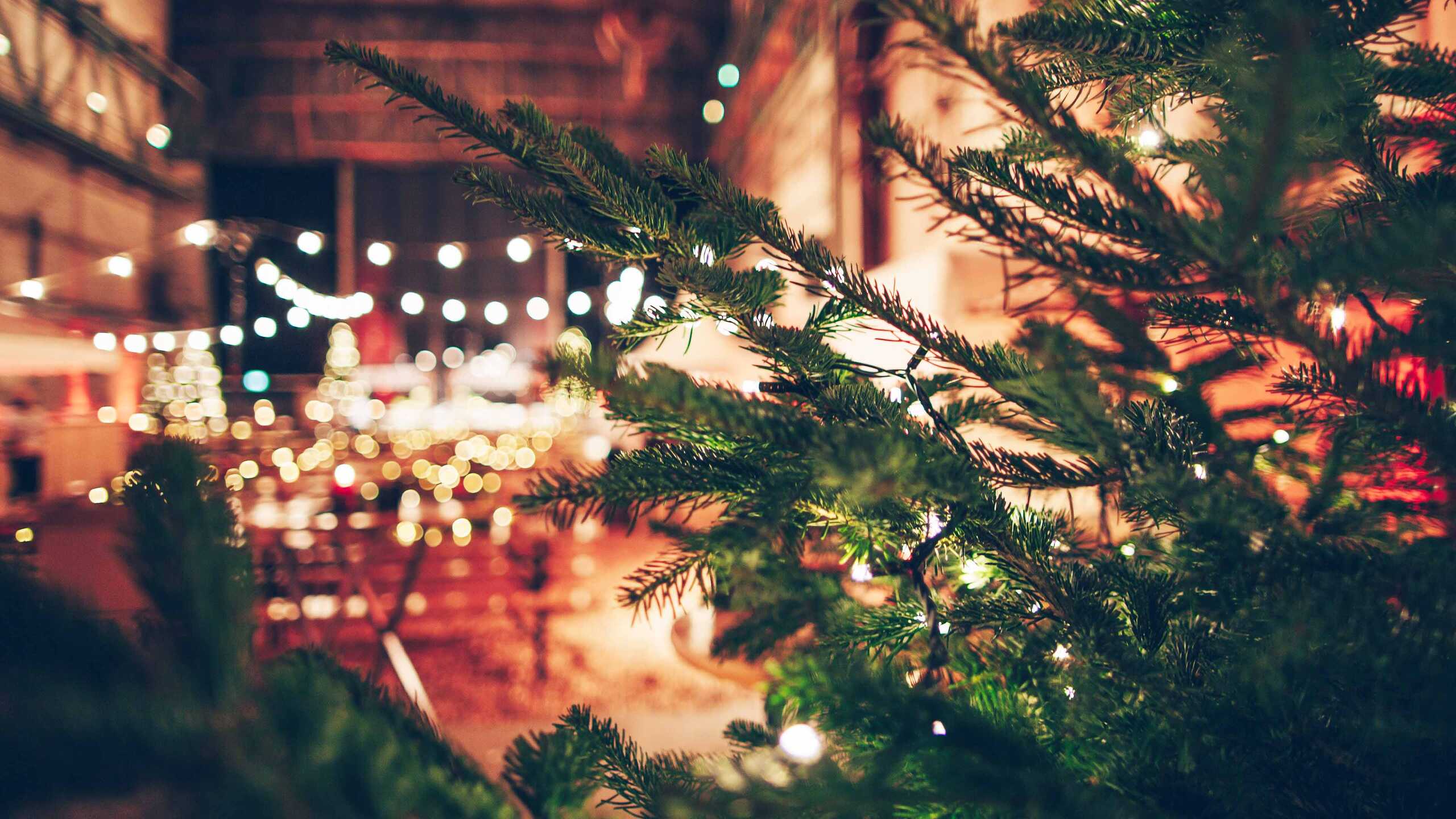 Tannenzweige, Weihnachtsmarkt, Lichterketten, Bokeh, Abend, 2K, Desktop-Hintergrund