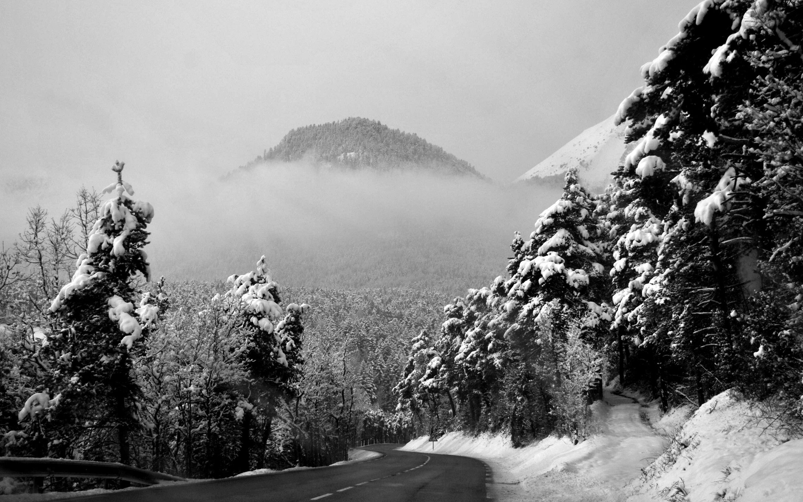 Winterlandschaft, Verschneiter Wald, Berg, Nebel, Straße, 2K-Hintergrundbild für PC