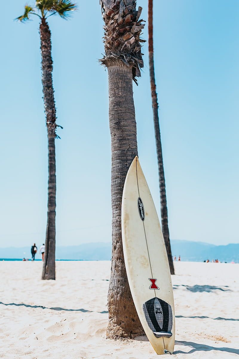Surfbrett, Palmen, Strand, Blauer Himmel, Hochformat, Hintergrundbild fürs Smartphone