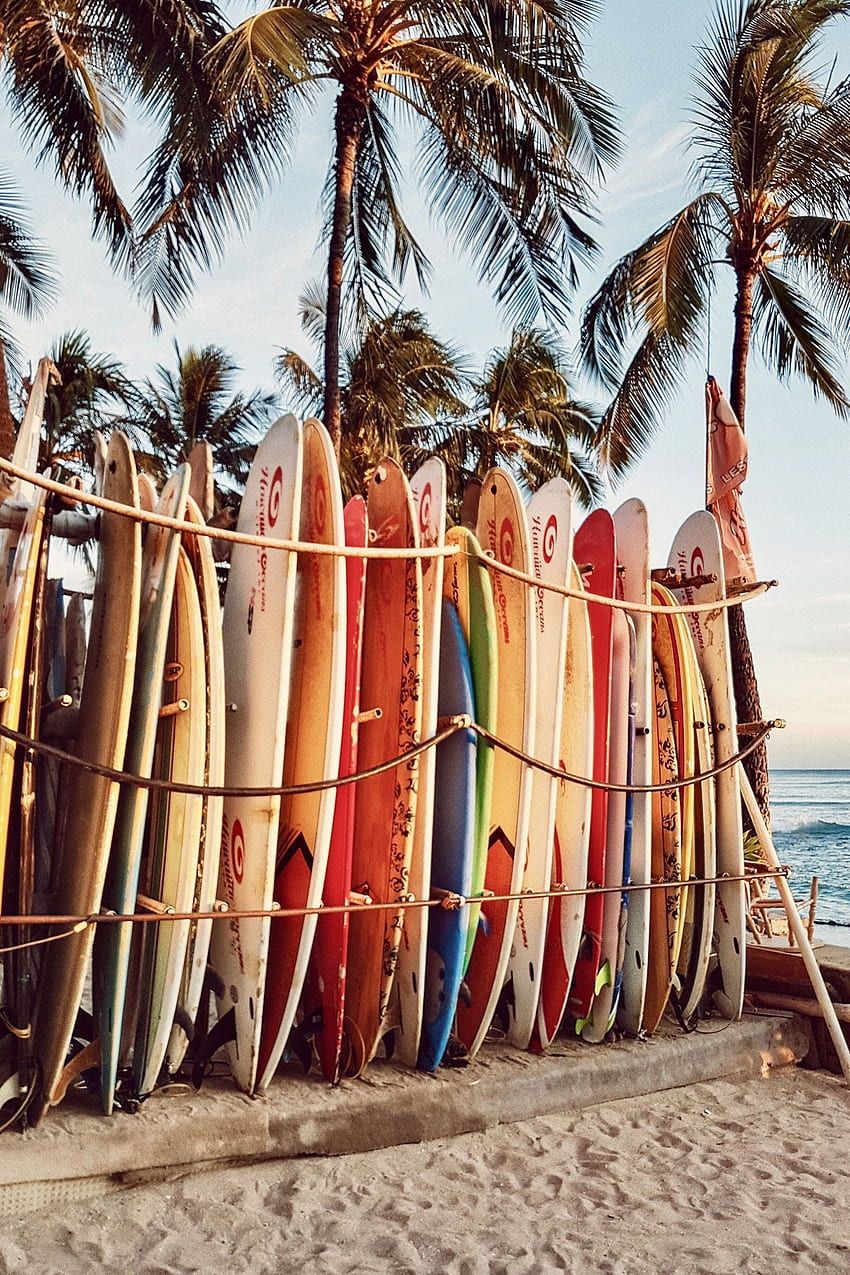 Surfbretter, Palmen, Strand, Bunt, Holzzaun, HD, Hintergrundbild fürs Handy