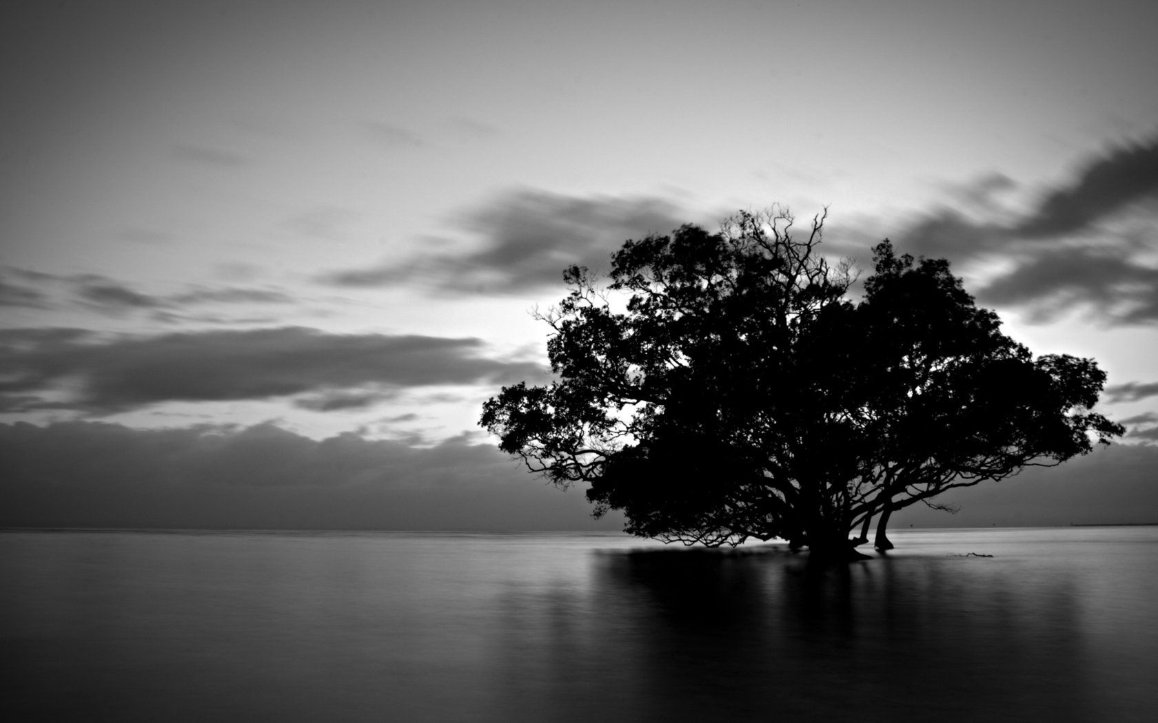 Einsamer Baum, See, Schwarzweiß, Wolken, Stille, 16:10, HD-Hintergrundbild für den Desktop