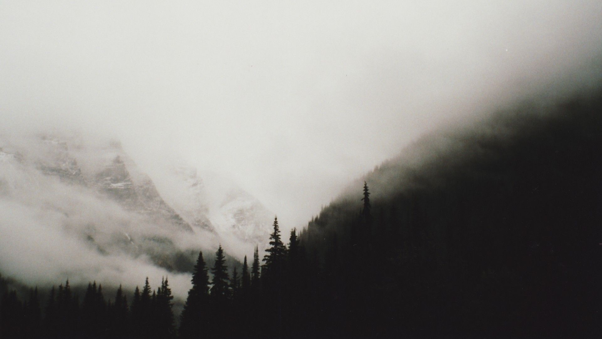Nebel, Berge, Wald, Nadelbäume, Grau, Stimmungsvoll, 1920x1080, Full-HD-Hintergrundbild für PC