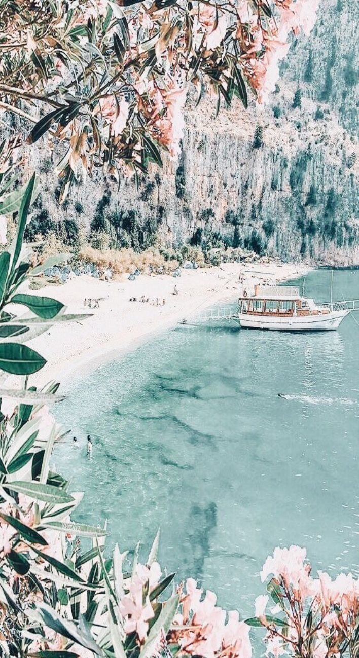 Bucht, Türkises Wasser, Boot, Blüten, Tropen, Hintergrundbild für iPhone und Android
