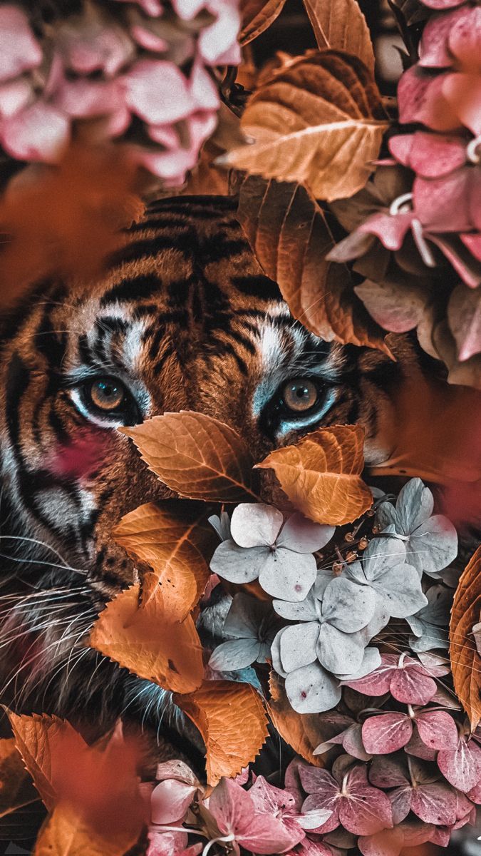 Tiger, Blumen, Herbstlaub, Collage, Orange, Hochformat, Hintergrundbild fürs Smartphone