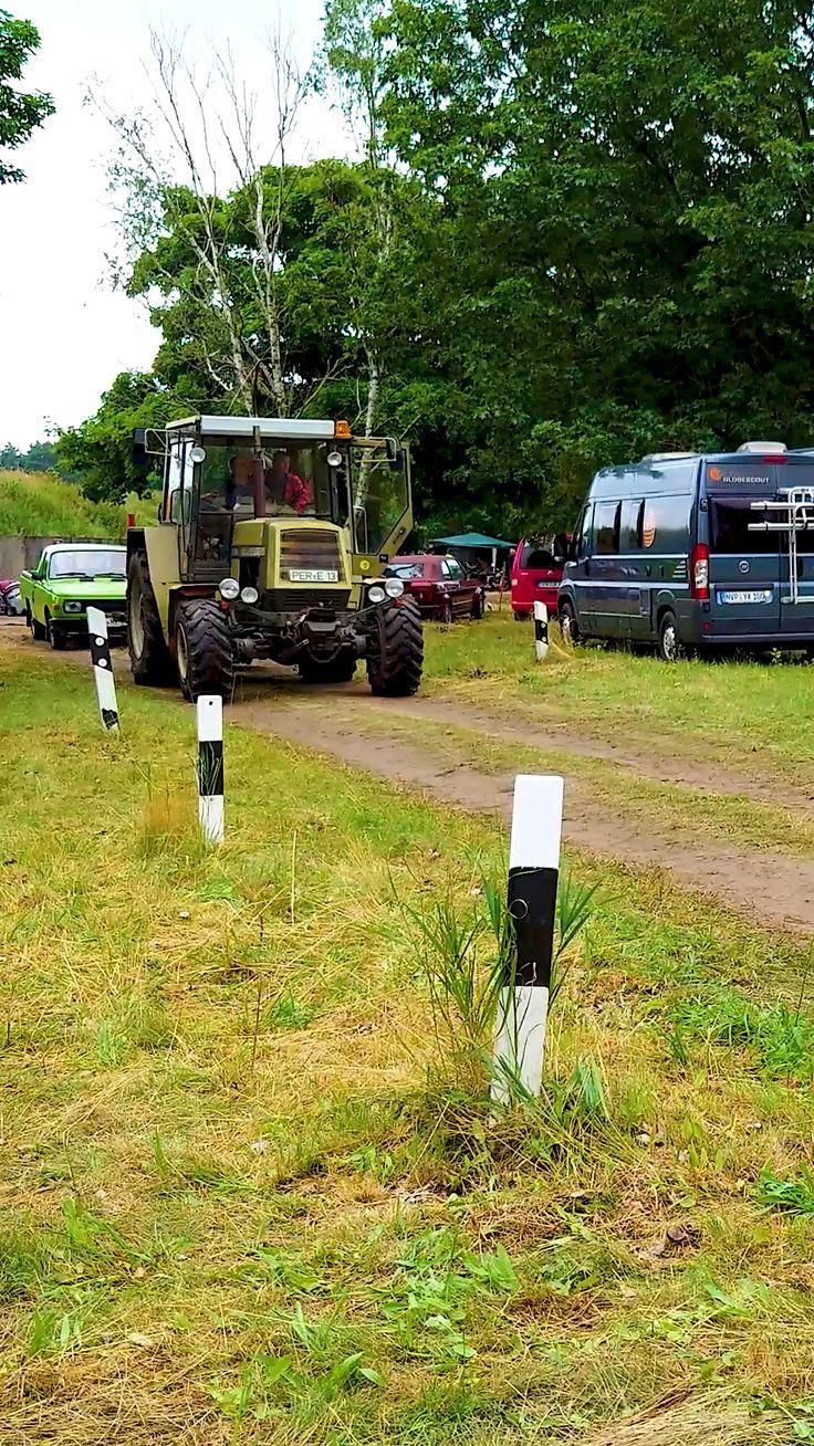 Oldtimer-Traktor, Feldweg, Wiese, Bäume, Treffen, HD, Sperrbildschirm fürs iPhone