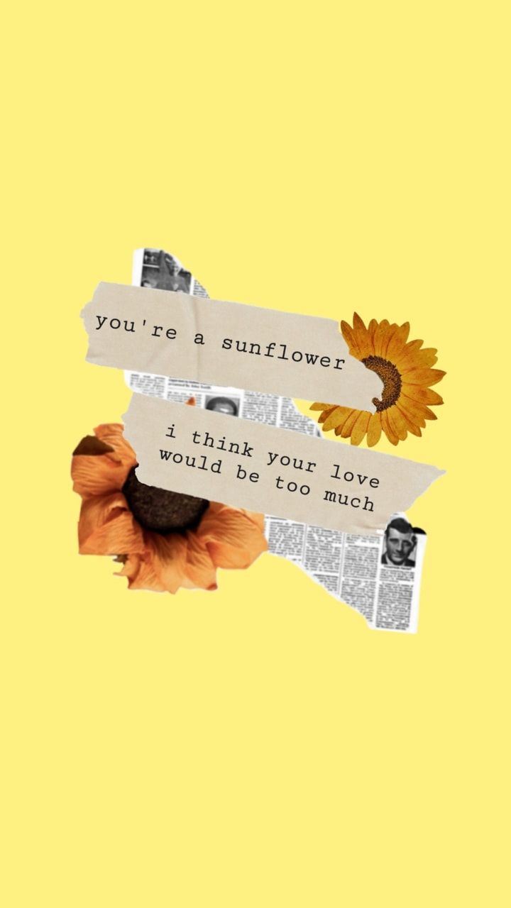 Sonnenblume, Zitat, Collage, Gelber Hintergrund, Papier, Sperrbildschirm fürs iPhone