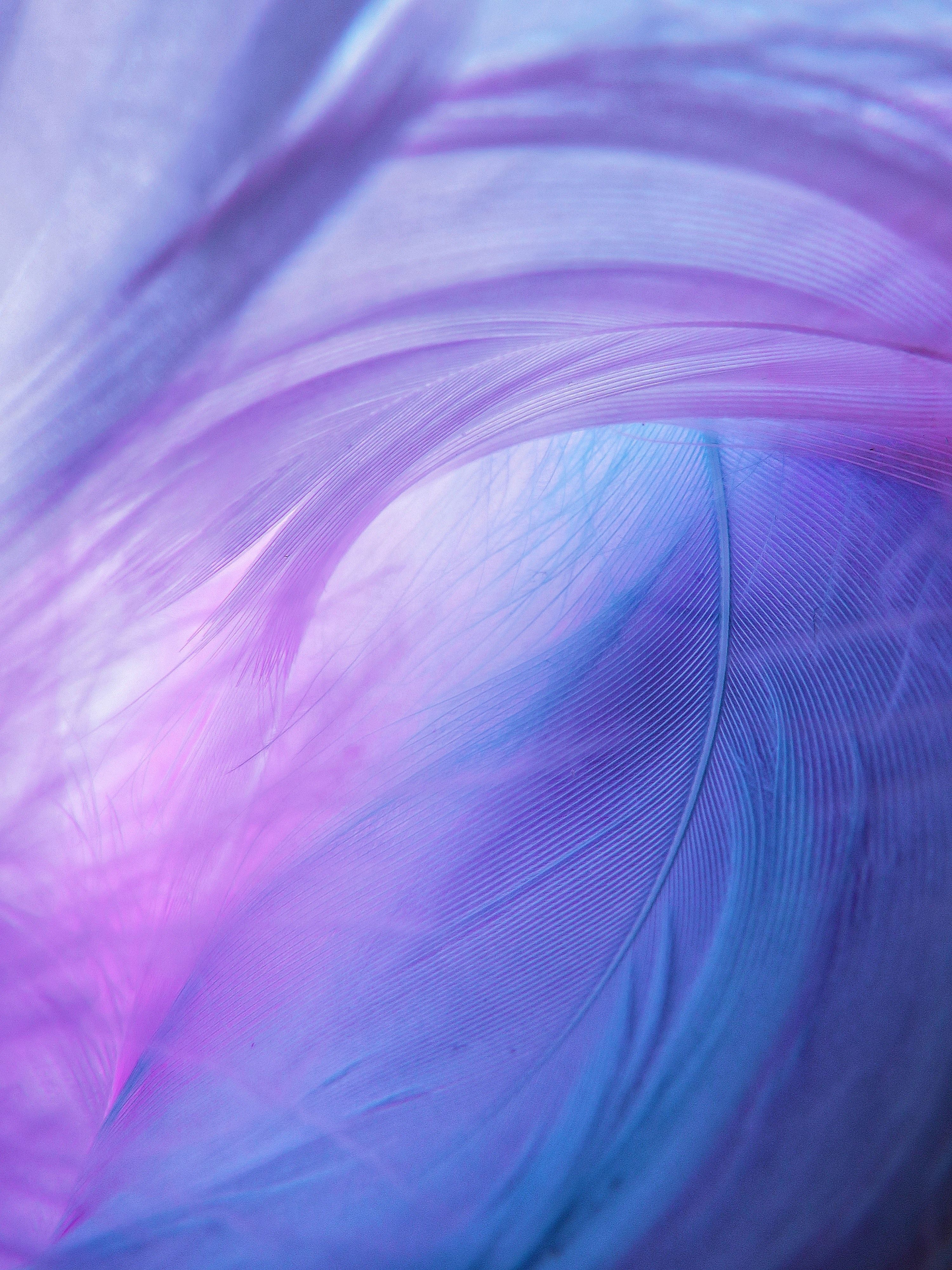 Abstrakt, Federn, Lila-Blau, Weiche Formen, Galaxy S24, Hintergrundbild