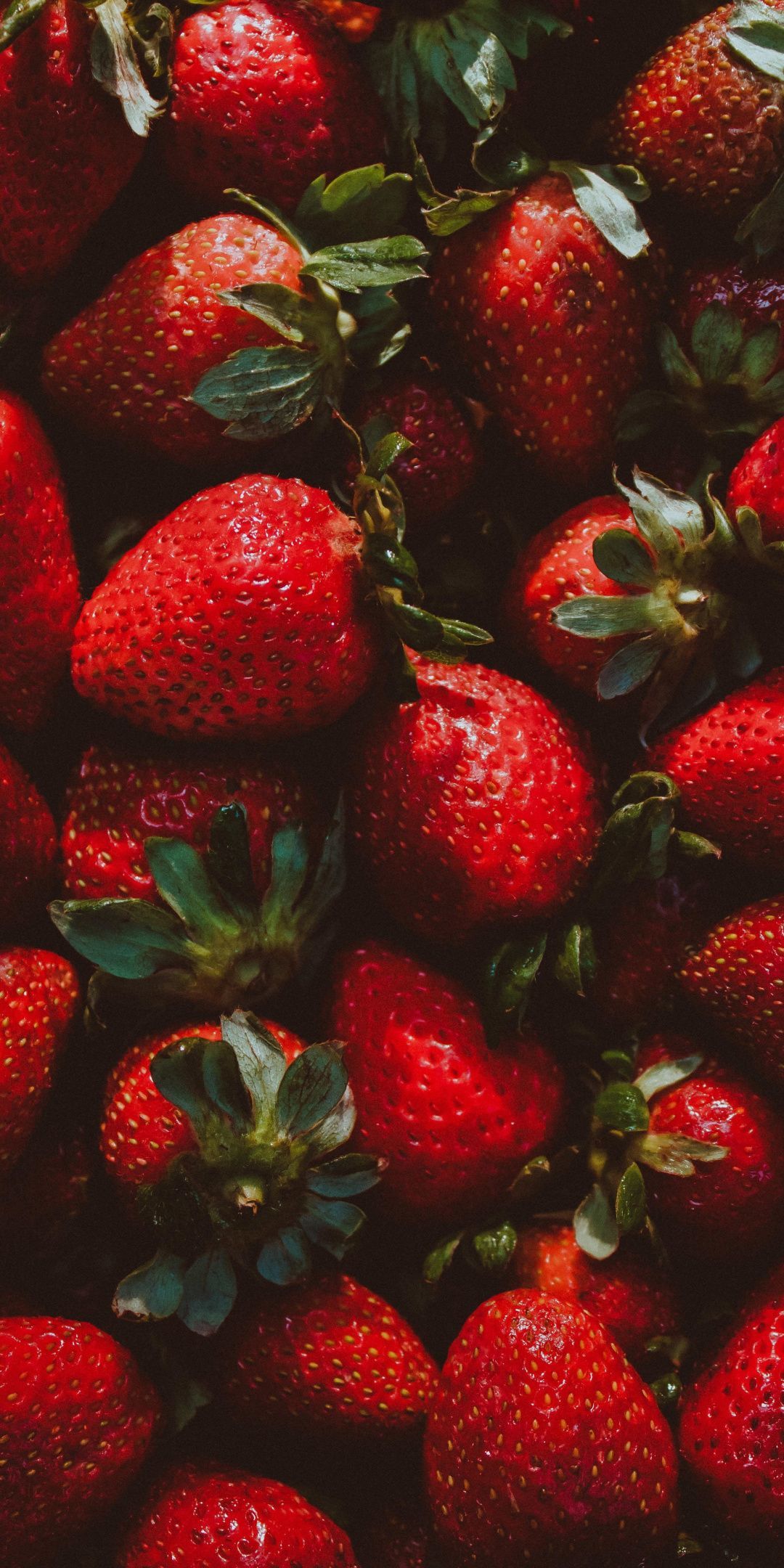 Reife Erdbeeren, Dunkelrot, Obst, Nahaufnahme, Full HD, Sperrbildschirm fürs iPhone