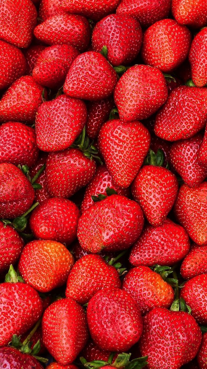 Erdbeeren, Rot, Frische Beeren, Füllend, Vitamine, Hochformat, Hintergrundbild fürs Smartphone