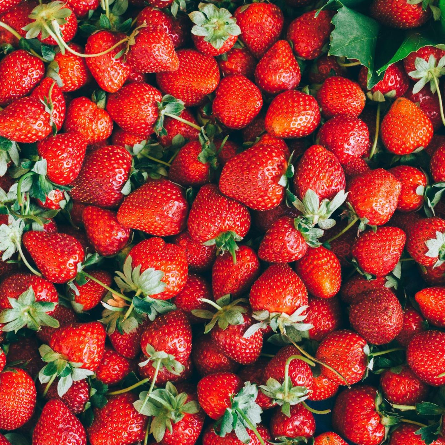 Erdbeeren, Erdbeerernte, Rot, Grün, Füllend, HD, iPad-Hintergrundbild