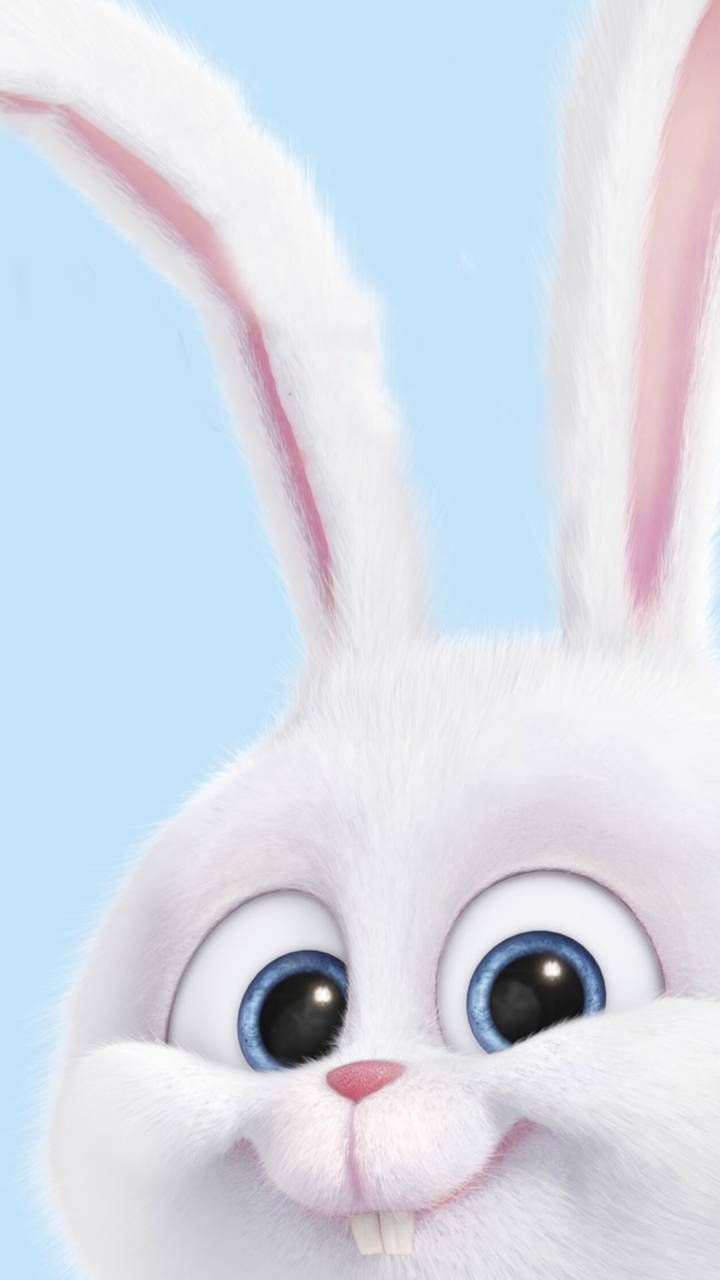 Snowball, Pets, Weißes Kaninchen, Animationsfilm, Hellblau, HD, iPhone-Hintergrundbild