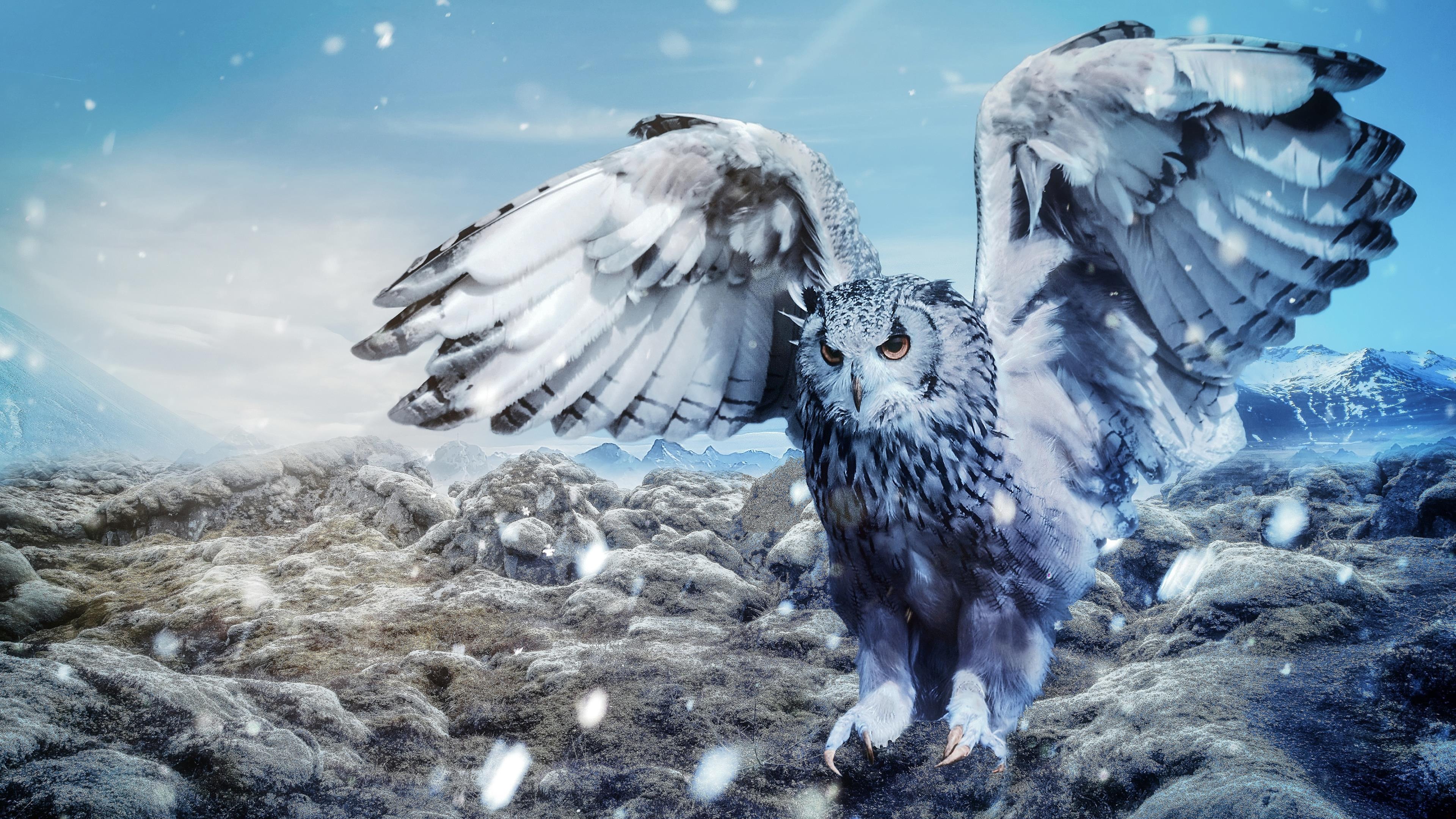 Uhu, Ausgebreitete Flügel, Felsen, Fantasy, 16:9, 4K-Hintergrundbild für den Desktop
