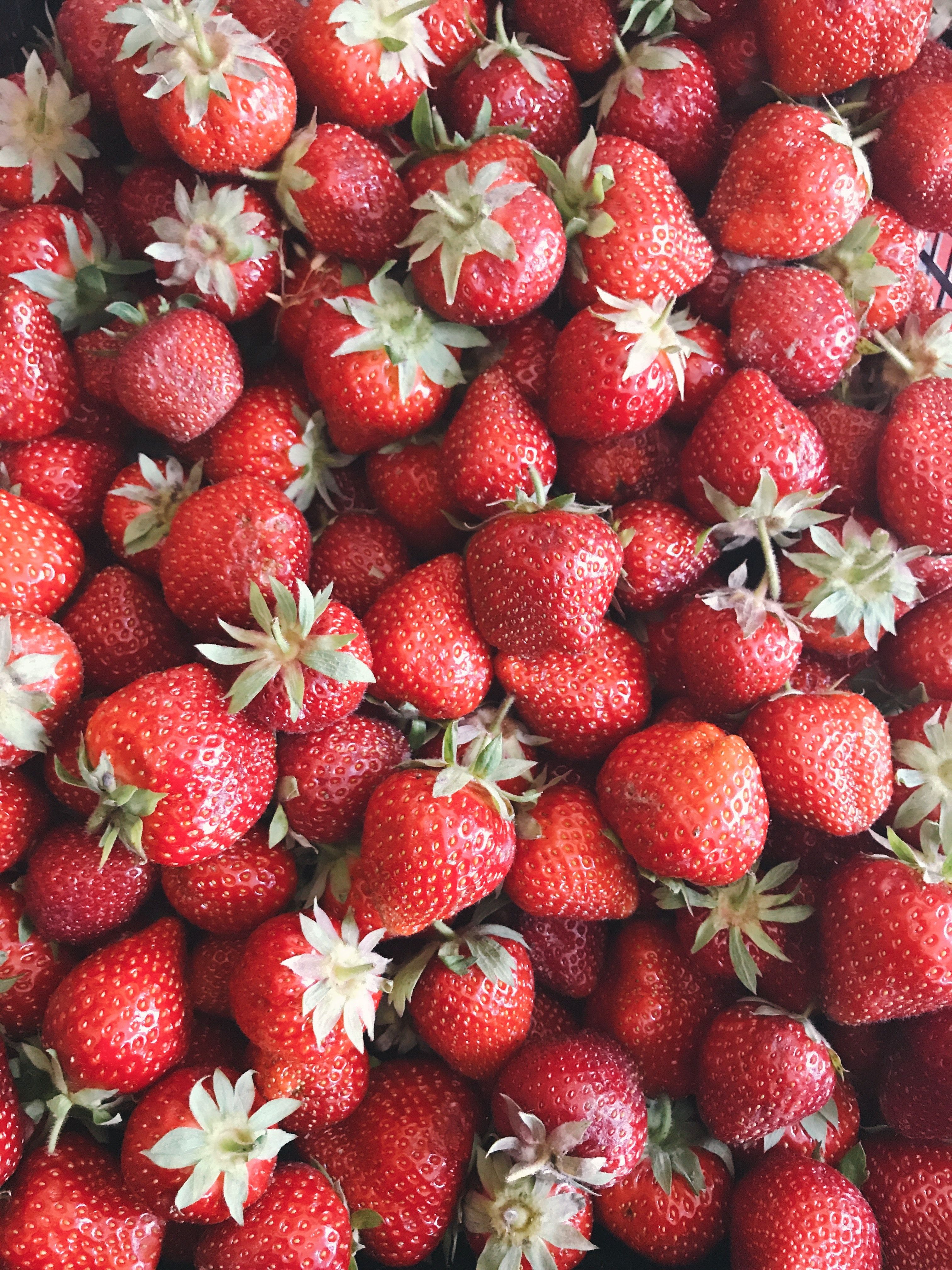 Walderdbeeren, Blüten, Rot, Draufsicht, Beeren, QHD+, Hintergrundbild fürs Tablet