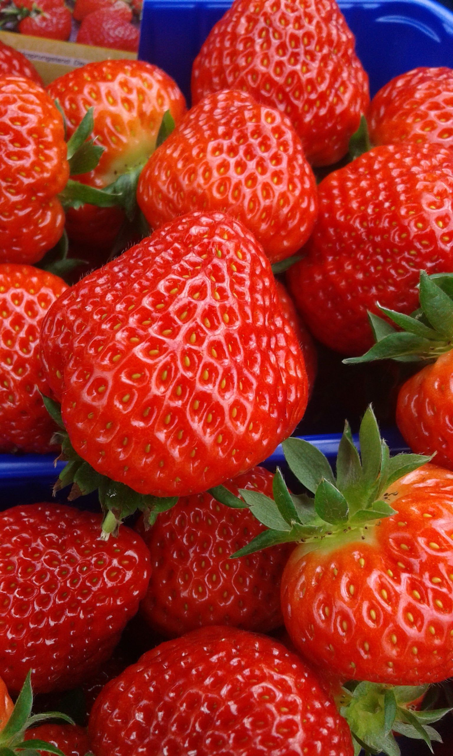 Erdbeeren, Nahaufnahme, Reife Früchte, Kiste, Sommer, QHD+, Sperrbildschirm fürs iPhone