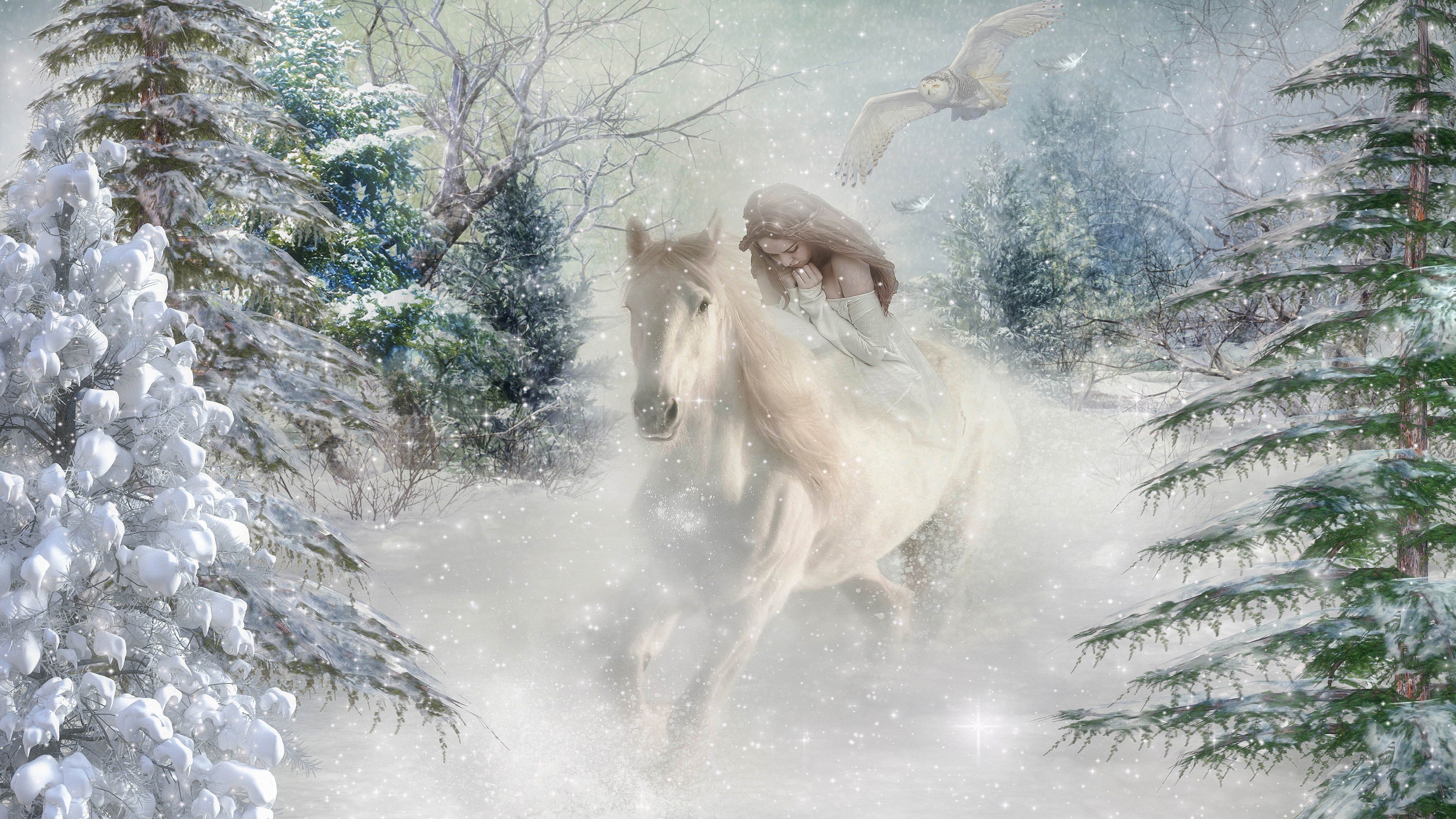 Weißes Pferd, Schneesturm, Tannen, Fantasy, Nebel, 4K, Hintergrundbild für den PC
