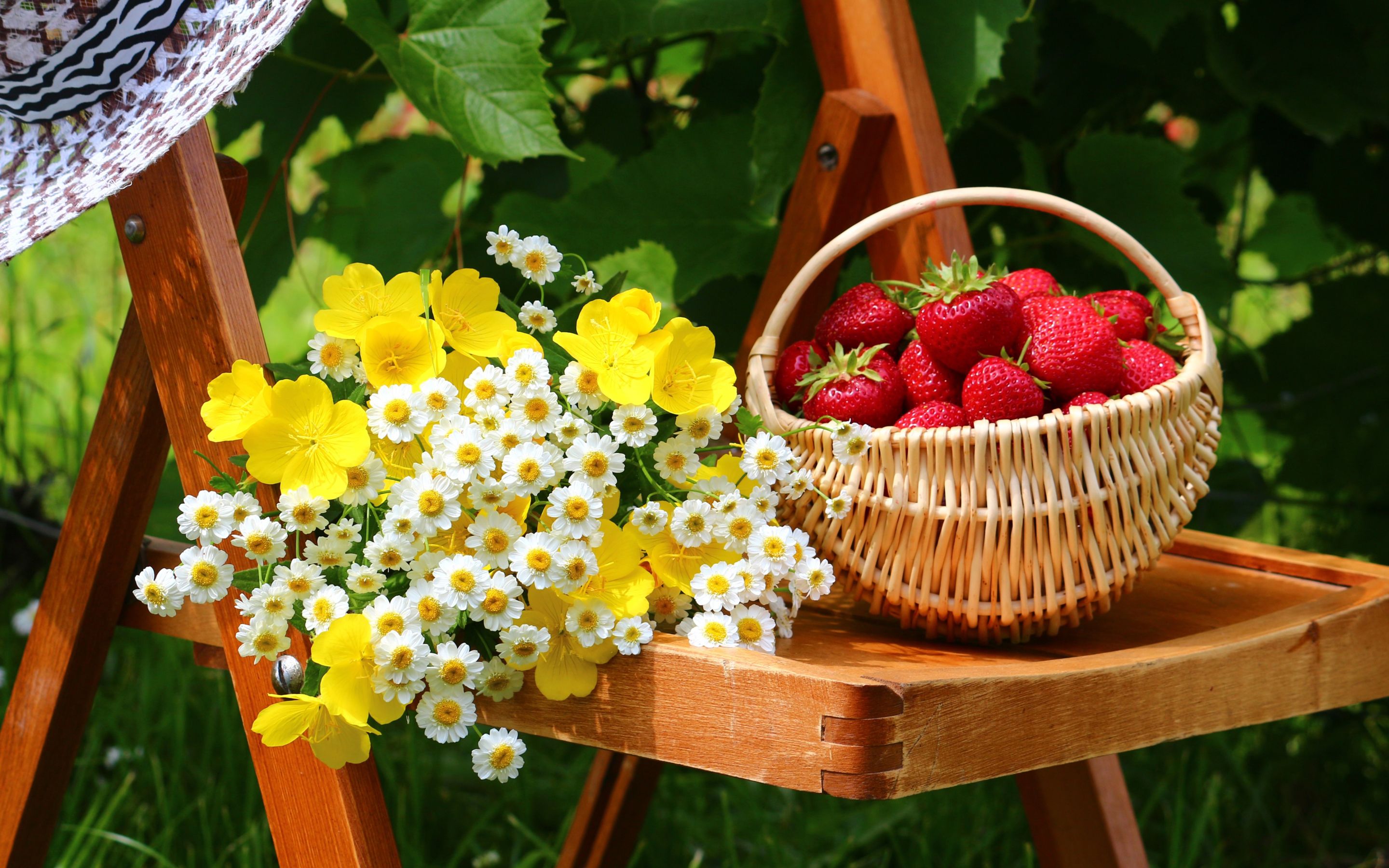 Erdbeerkorb, Weidenkorb, Blumenstrauß, Gänseblümchen, Garten, Holzstuhl, 2K-Hintergrundbild für PC